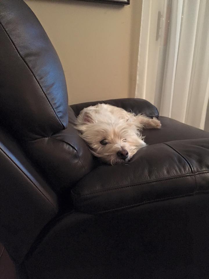 We're all a little bummed right now.