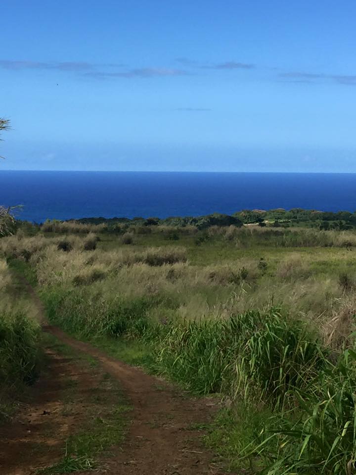 The view just a short walk from our back door.
