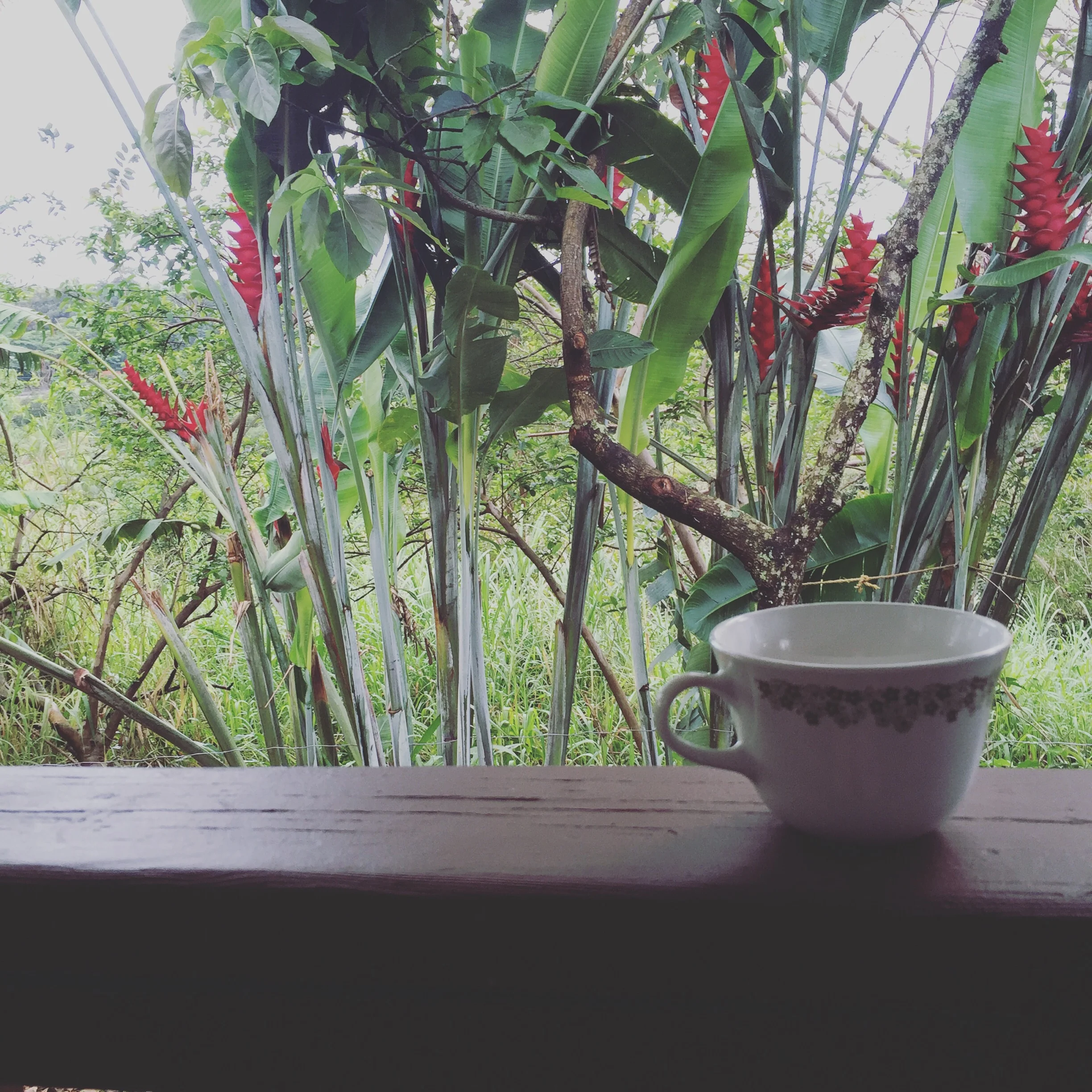 Morning coffee