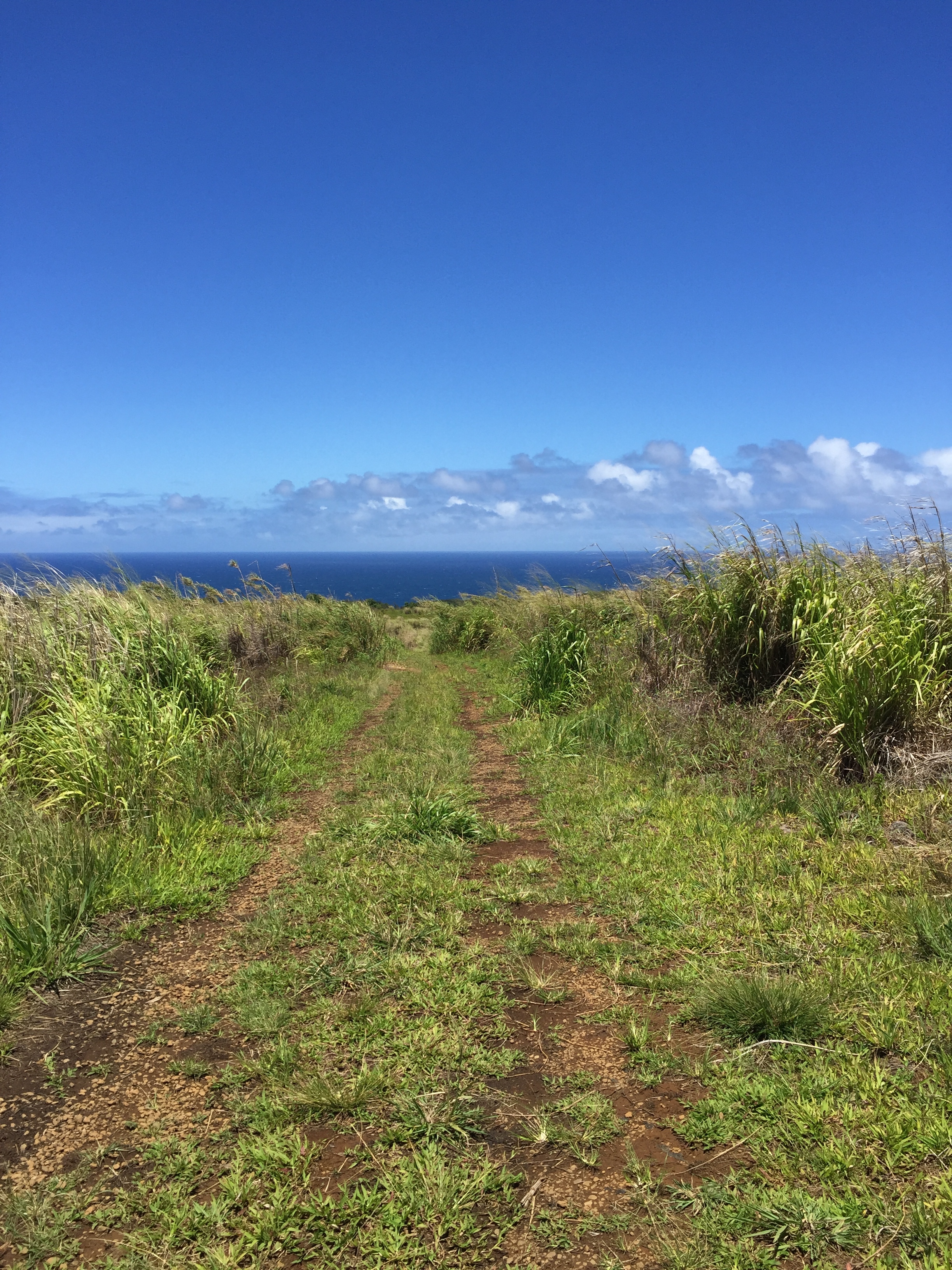 End of the road, beginning of the dirt path