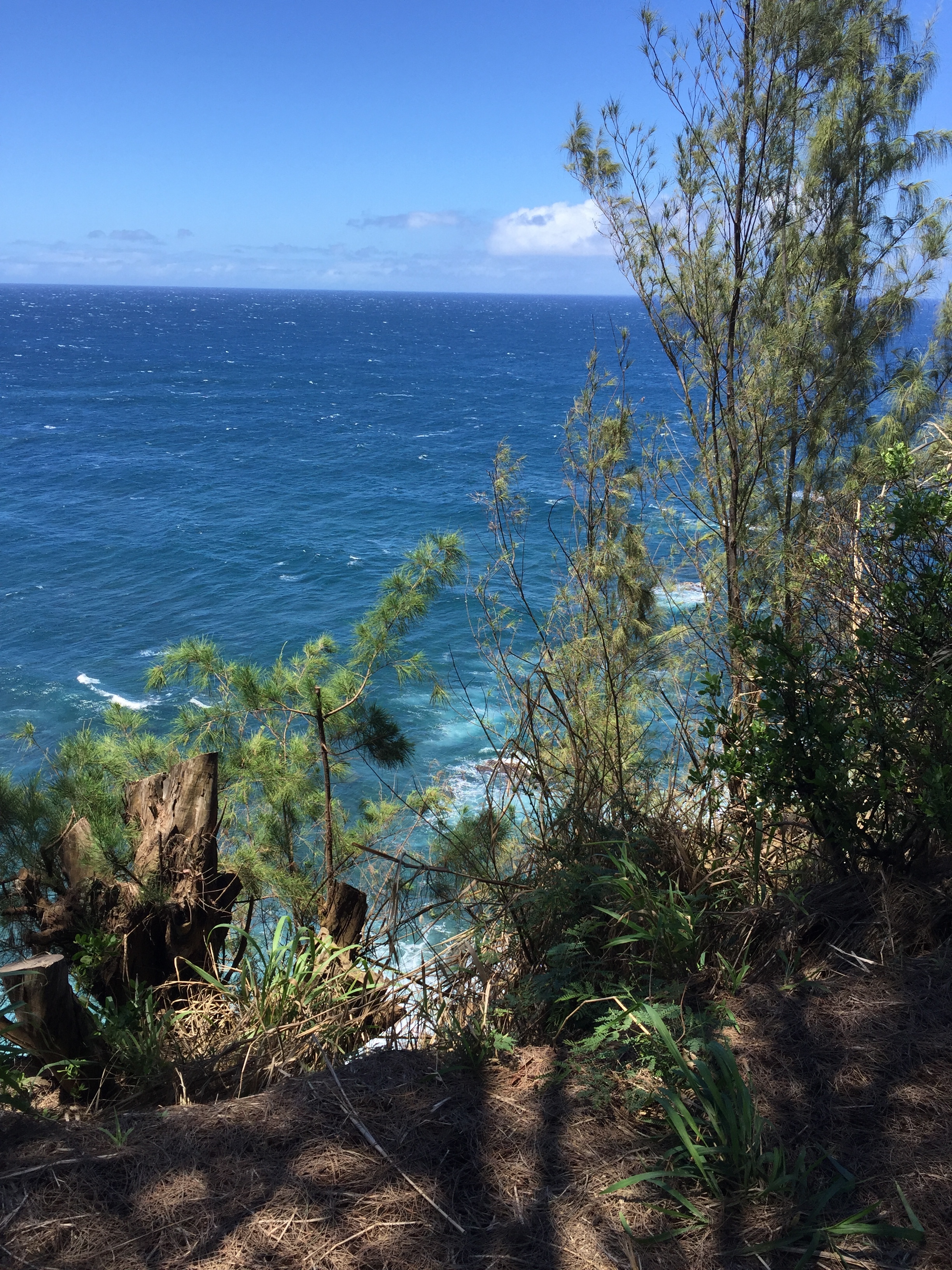 The cliffs