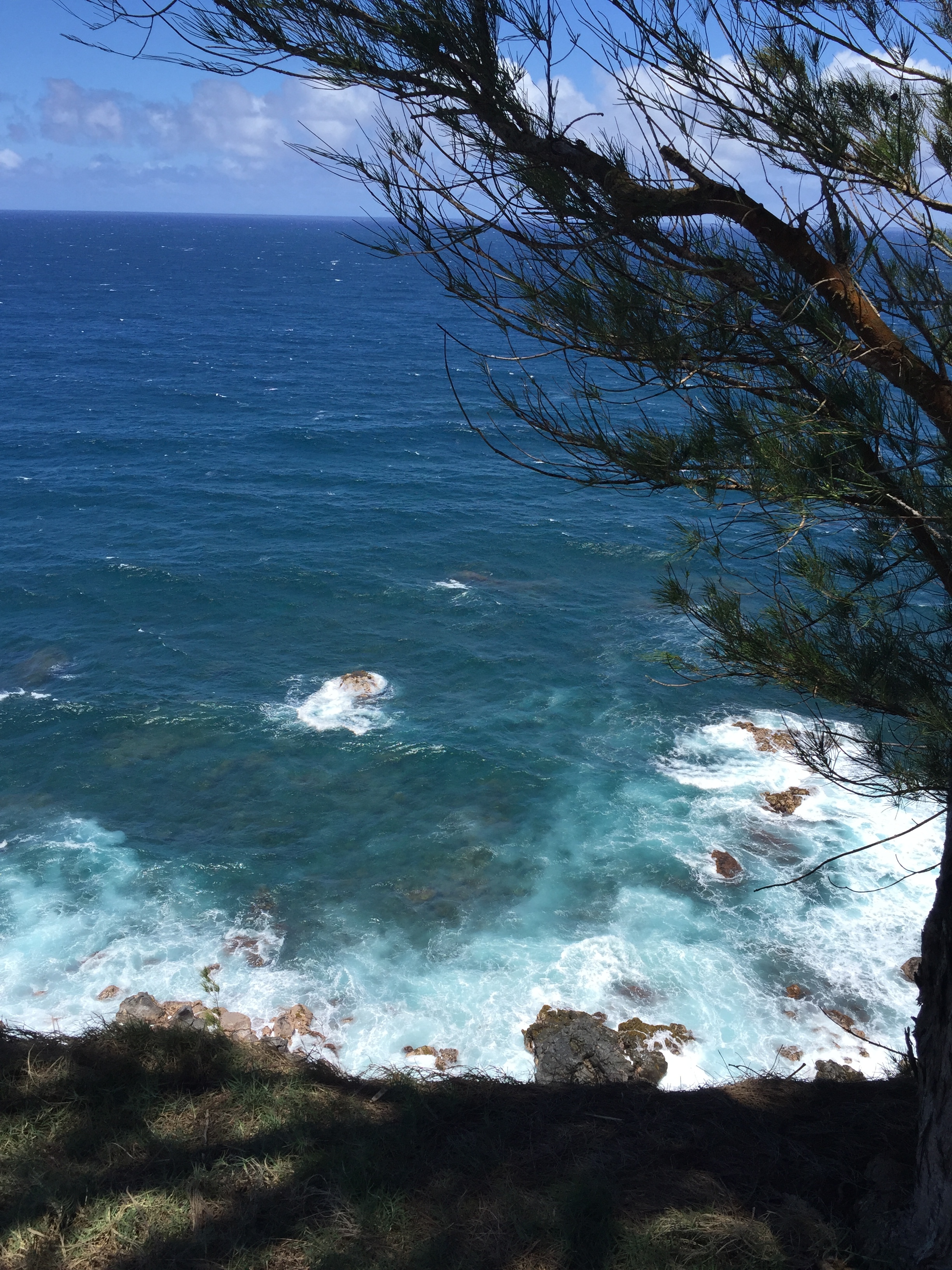 The cliffs