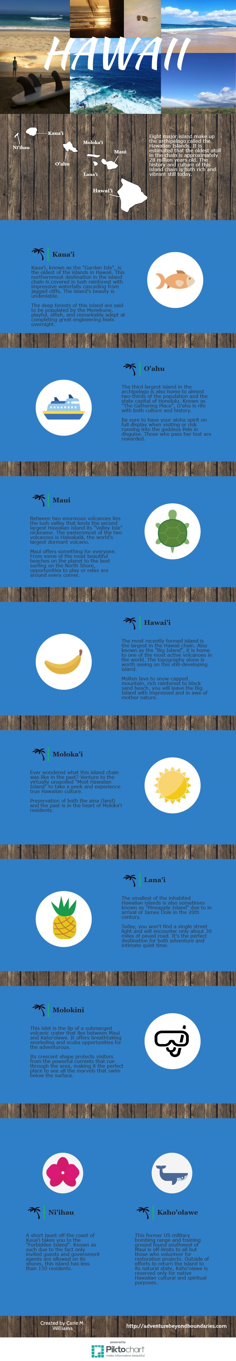 My first infographic