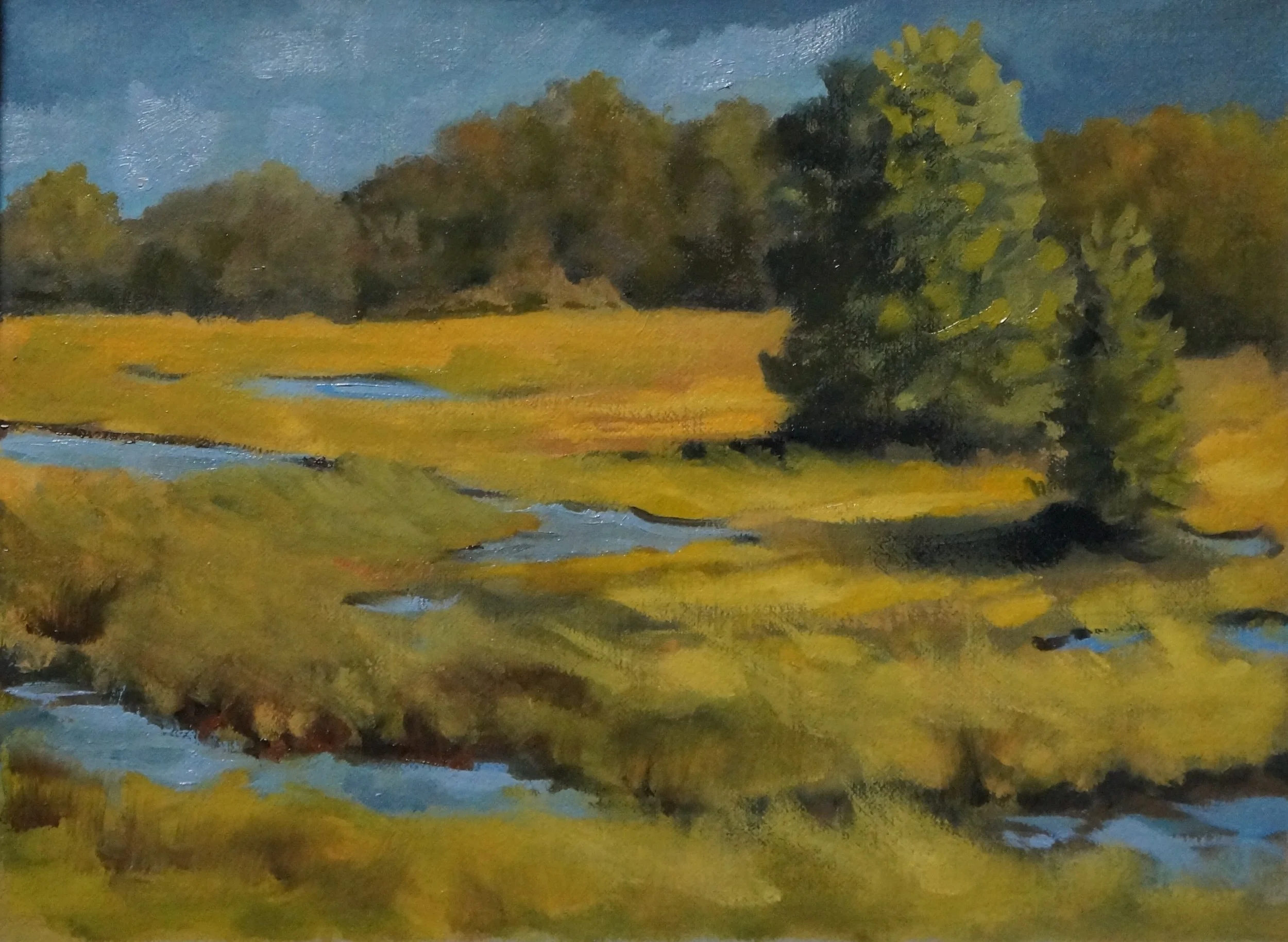 Salt Marsh