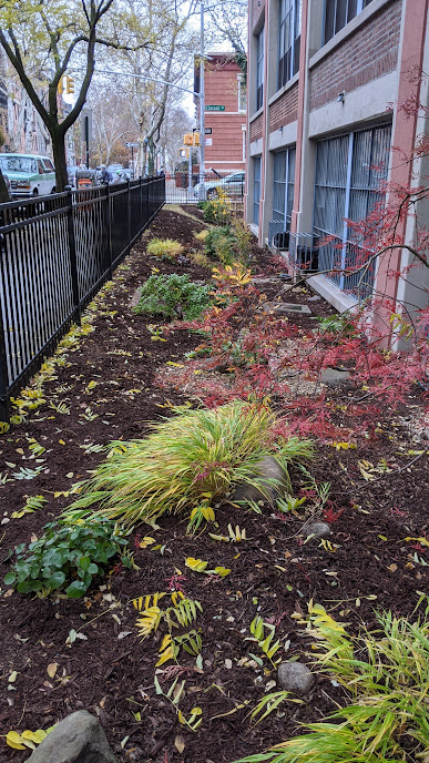 110 Clifton, Fall View.png