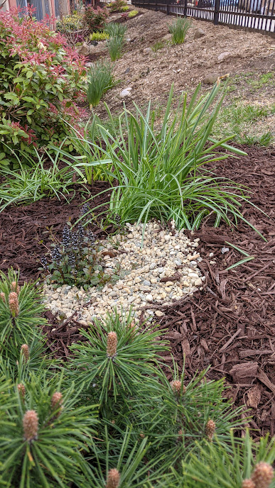 110 Clifton ,Spring.png