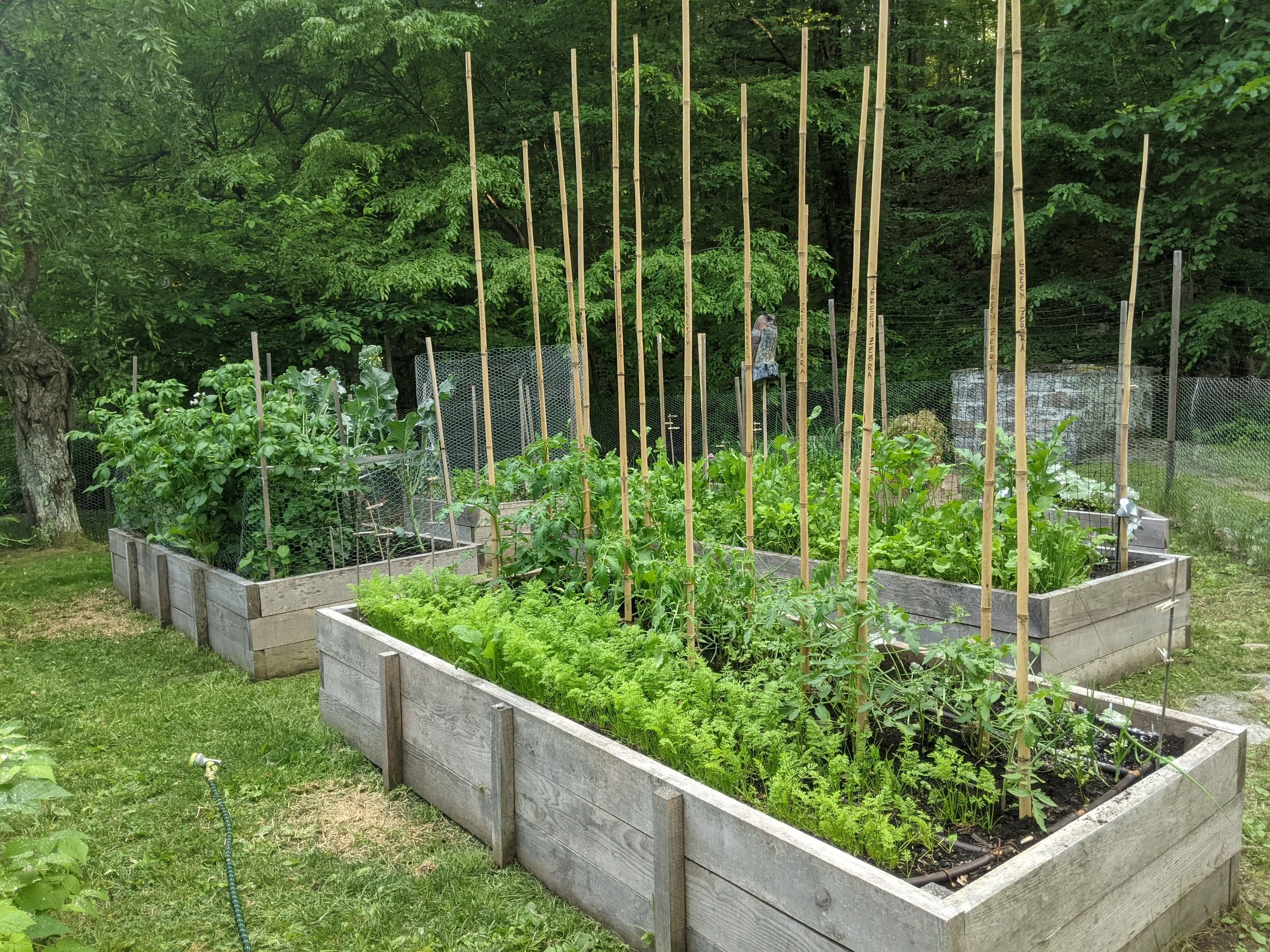 Edible, Raised beds.jpg
