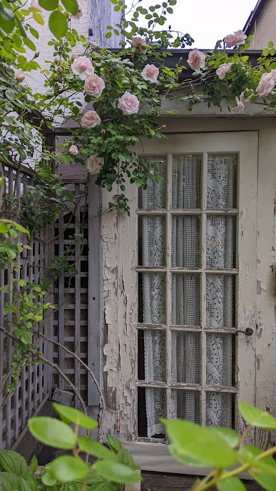 Subin, WV, Upper deck, Rose _ door.png