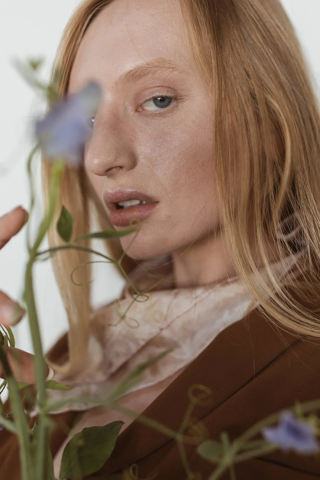 Image by Anna Criswell.