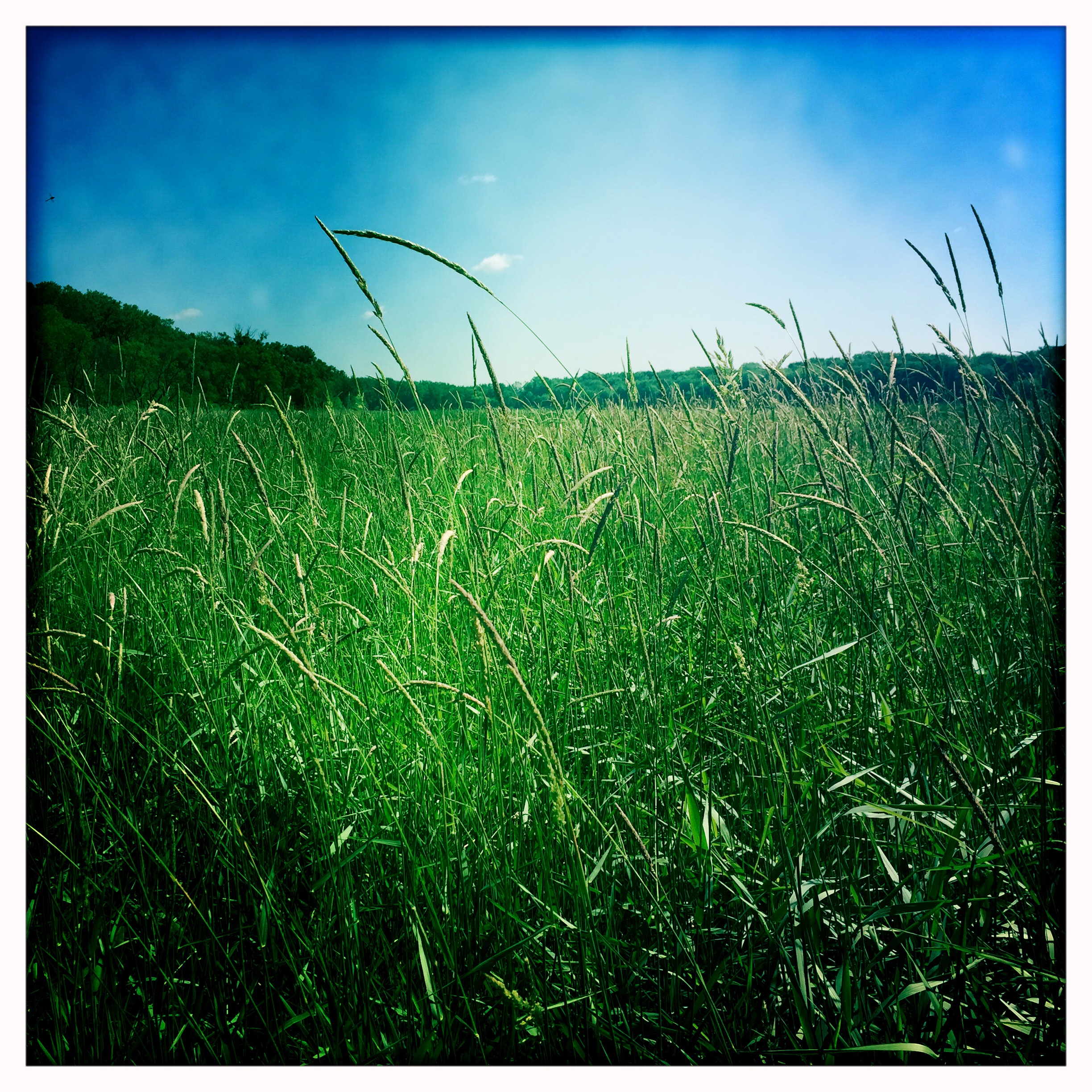 MAY I HAVE YOUR ATTENTION, PLEASE