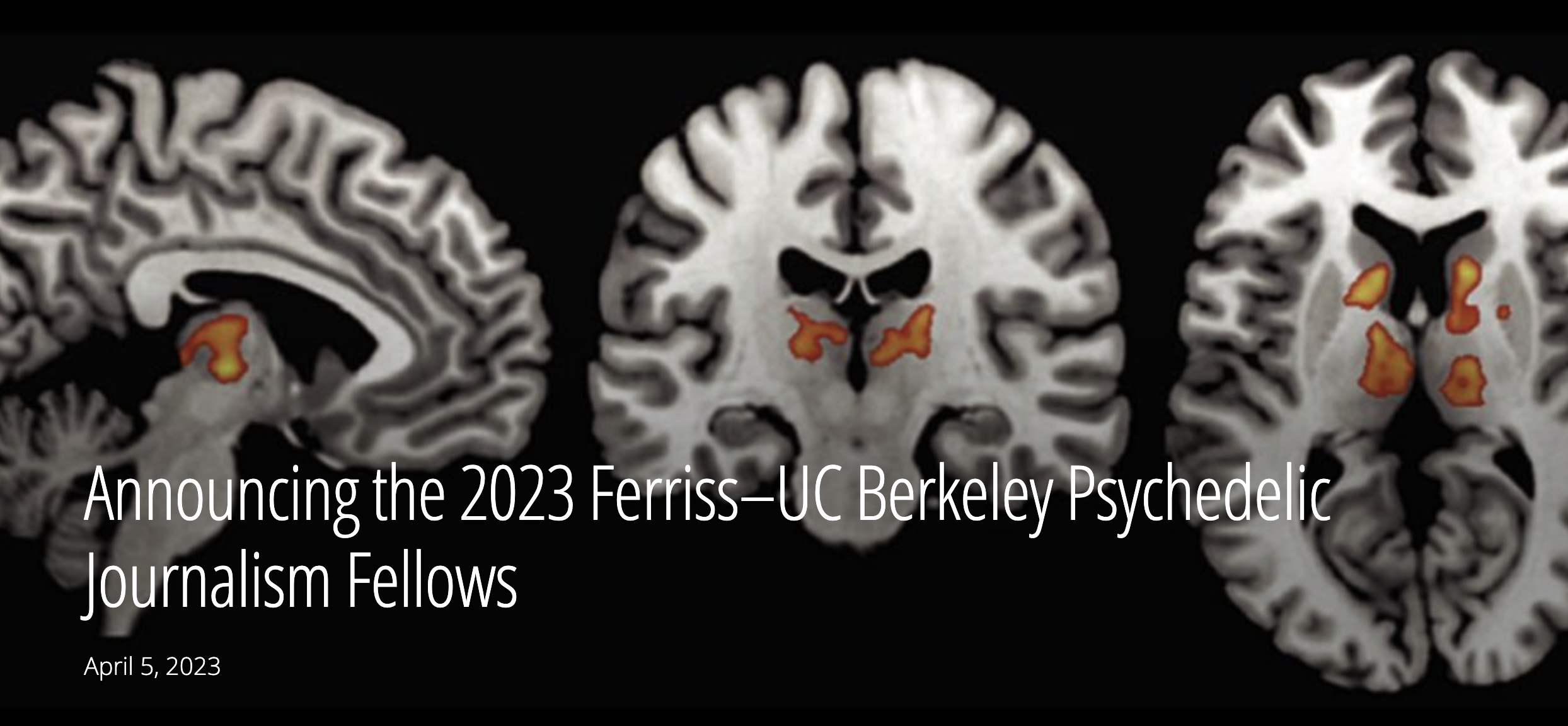 2023 UC Berkeley Psychedelic Journalism Fellow