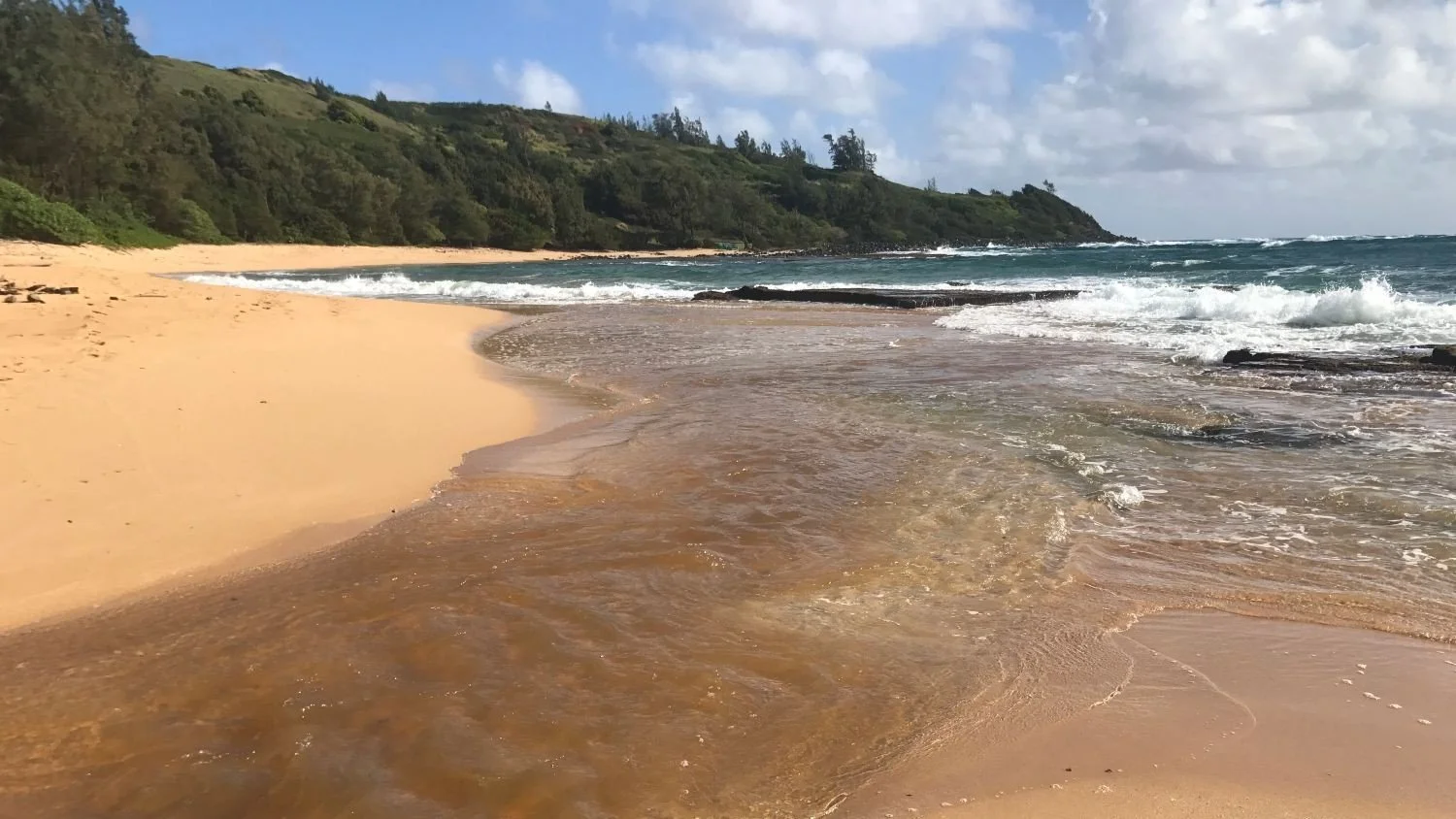 Healing For Moloa'a Bay