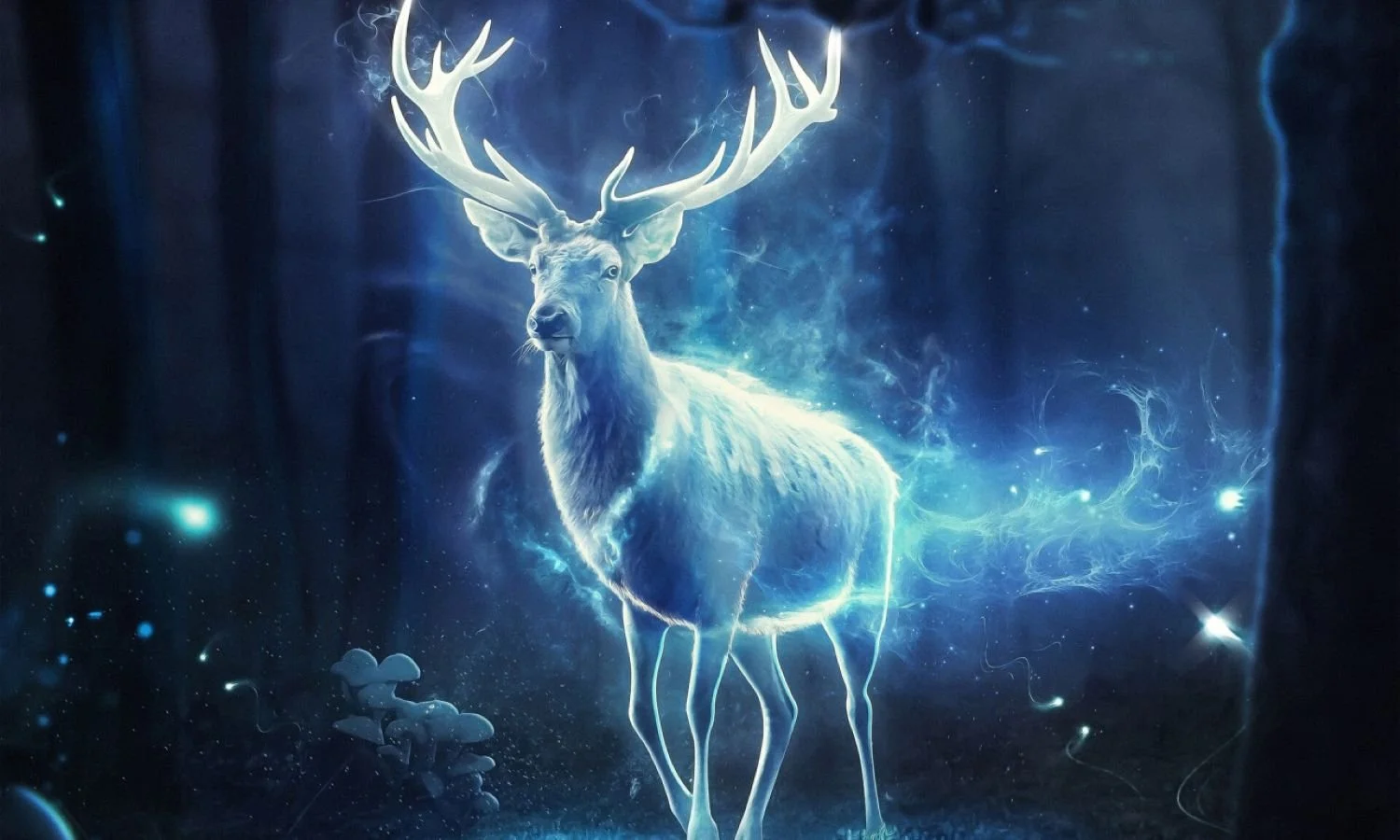 What Is a Power Animal? 