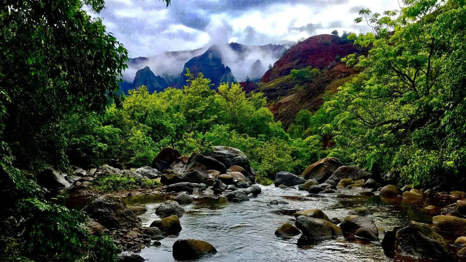 Shamanic Nature Awareness