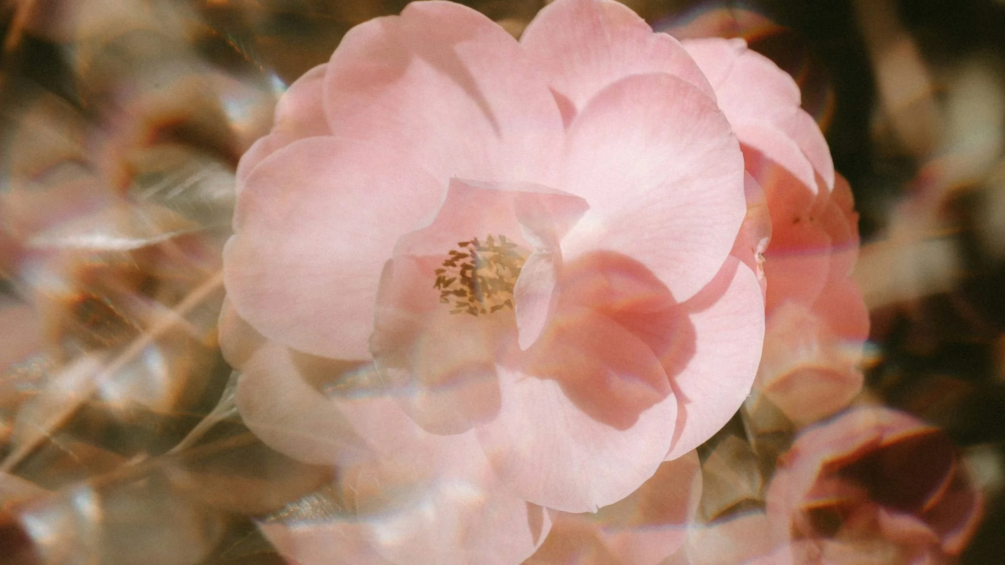 Reclaiming the Sacred Feminine