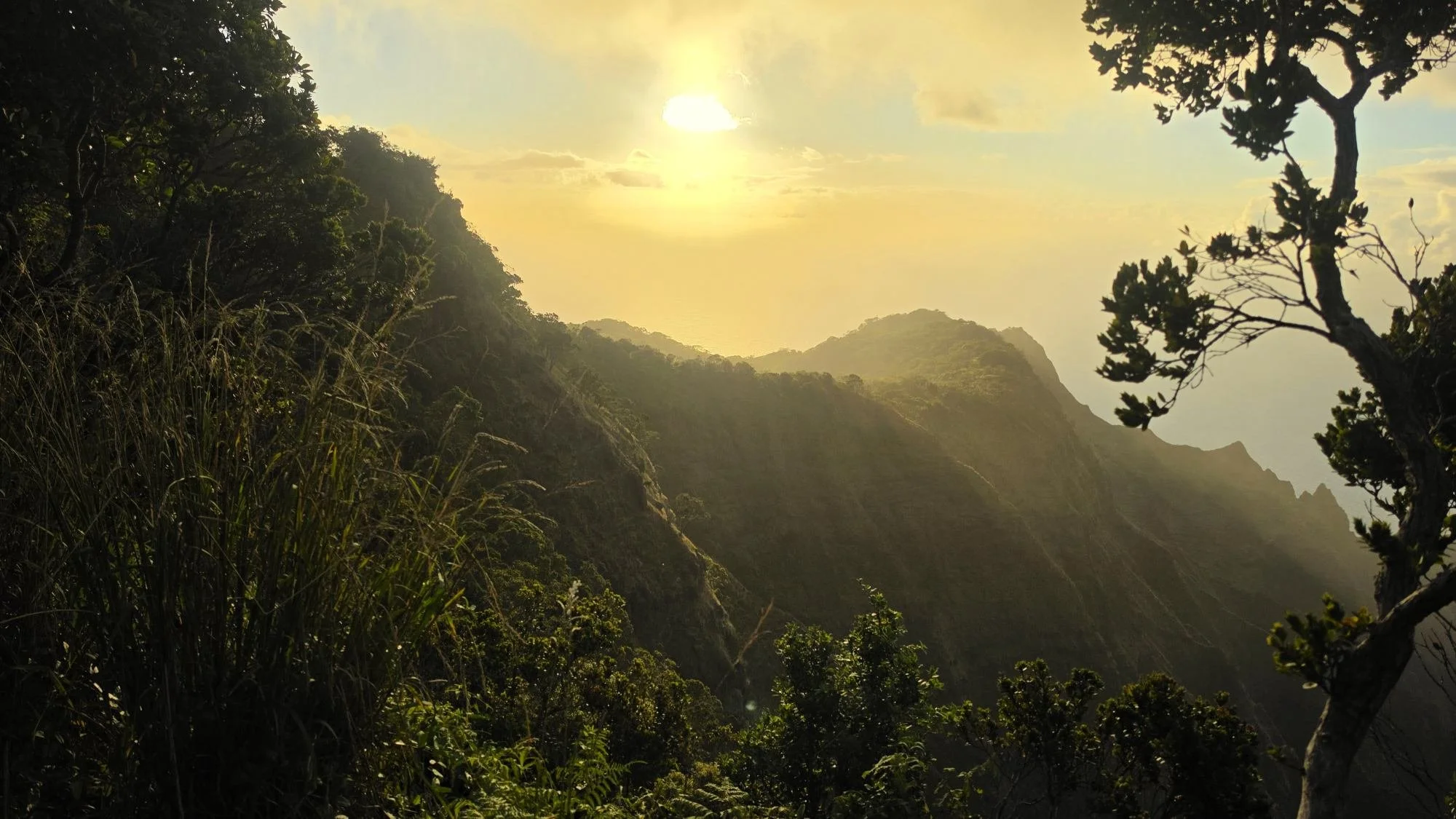study-shamanism-hawaii-online.jpg