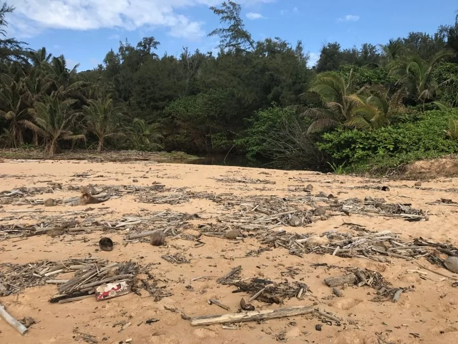 Driftwood and storm debris scattered across Moloa'a Beach, Kauai, Hawaii