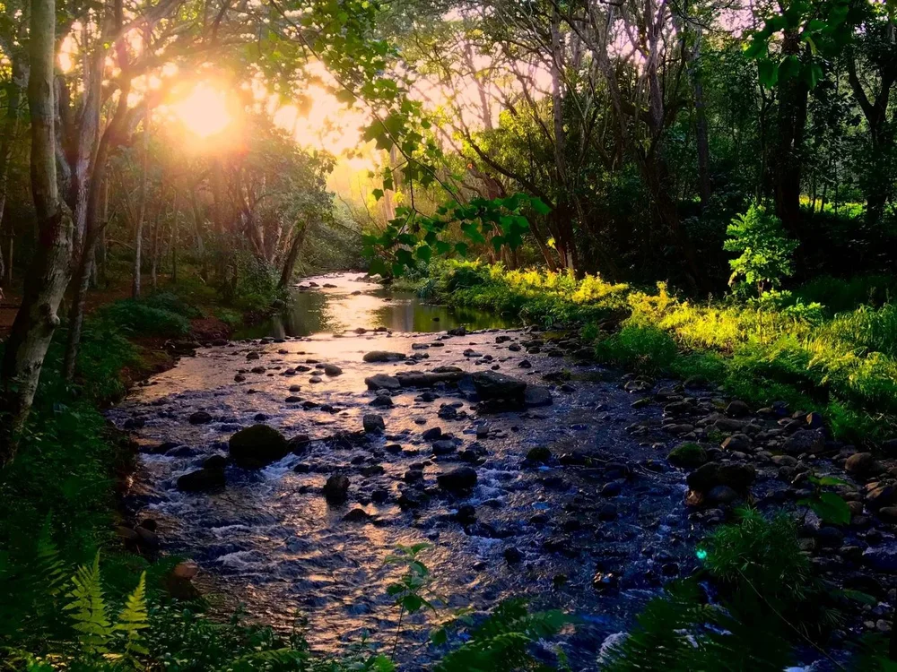 Why affirmations don't work — Shamanic Spirit Medicine
