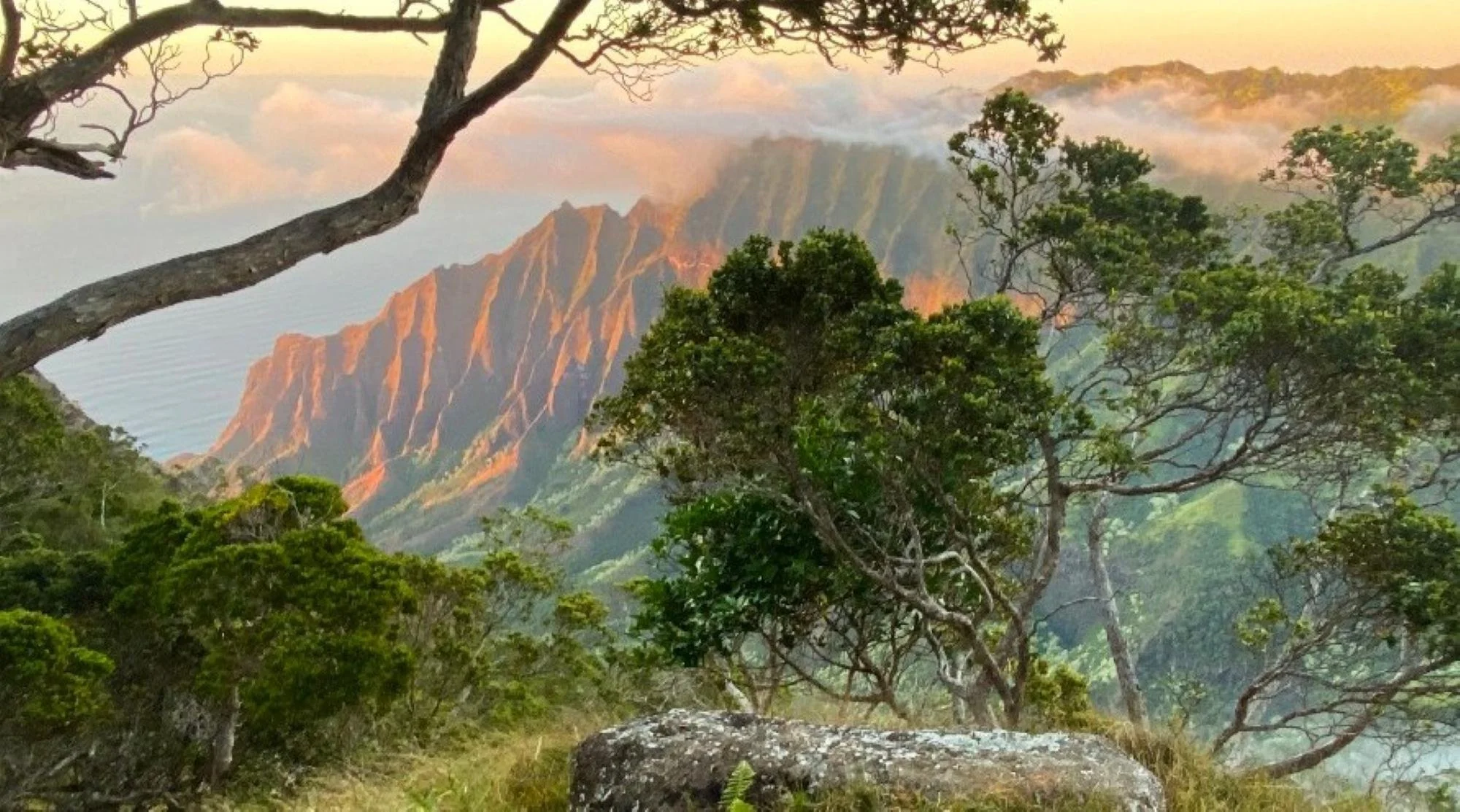 shamanic-healing-in-nature-hawaii.jpg