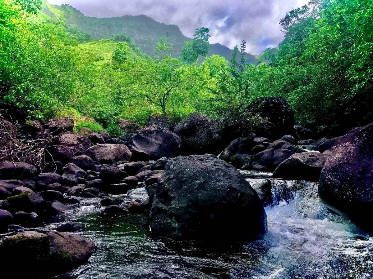 online-shamanism-courses-global-community.jpg