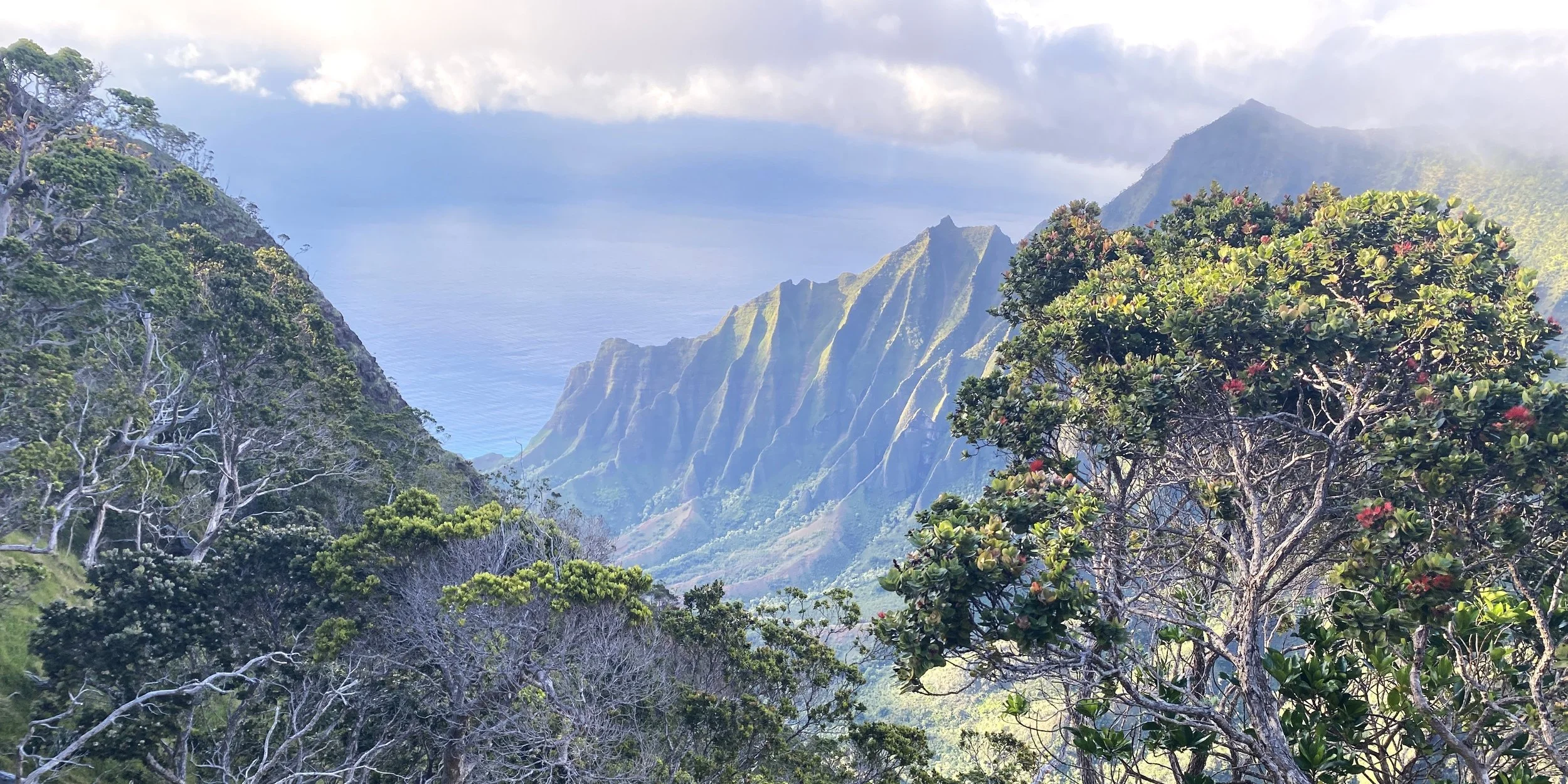 kalalau-kauai-napali-coast-misty-ridgeline.jpg