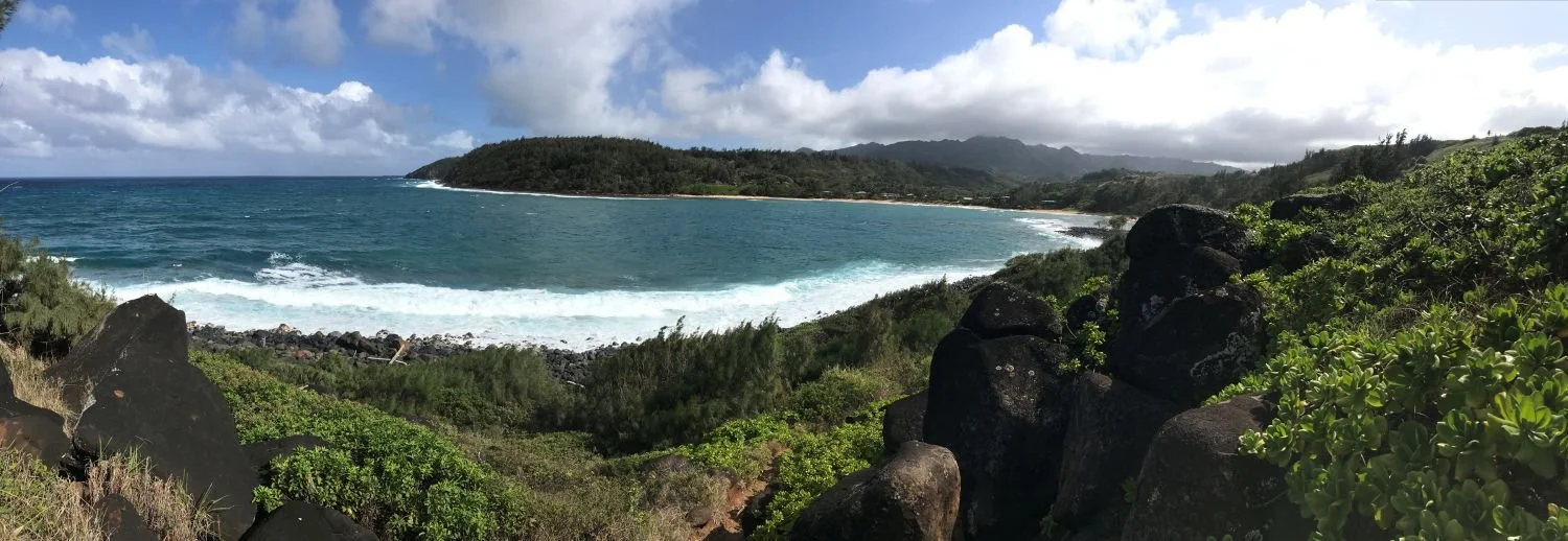 Panoramic view of Moloa'a Bay, Kauai, Hawaii