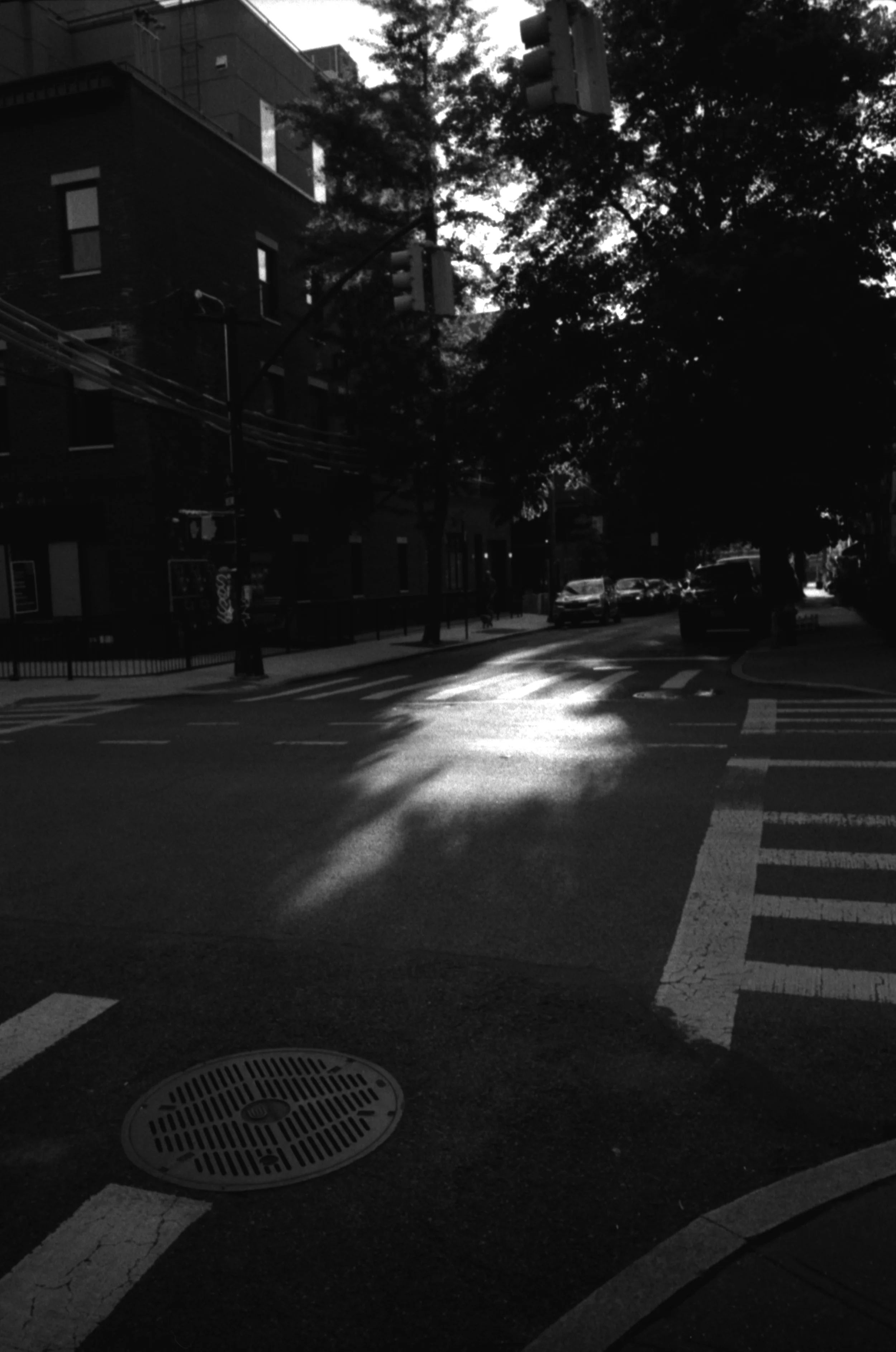 Luquer shadows.jpg