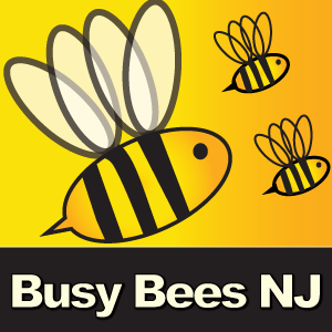 Busy Bees NJ LLC