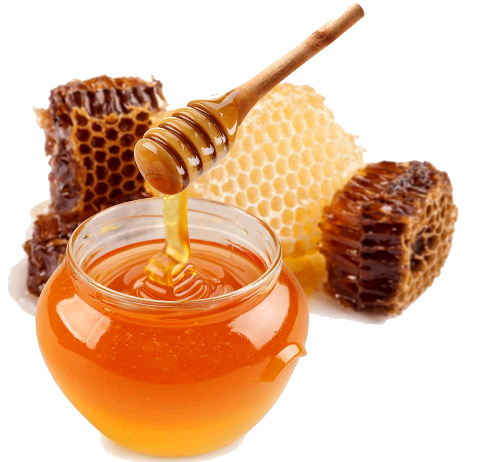Honey-PNG-Transparent-Image.png