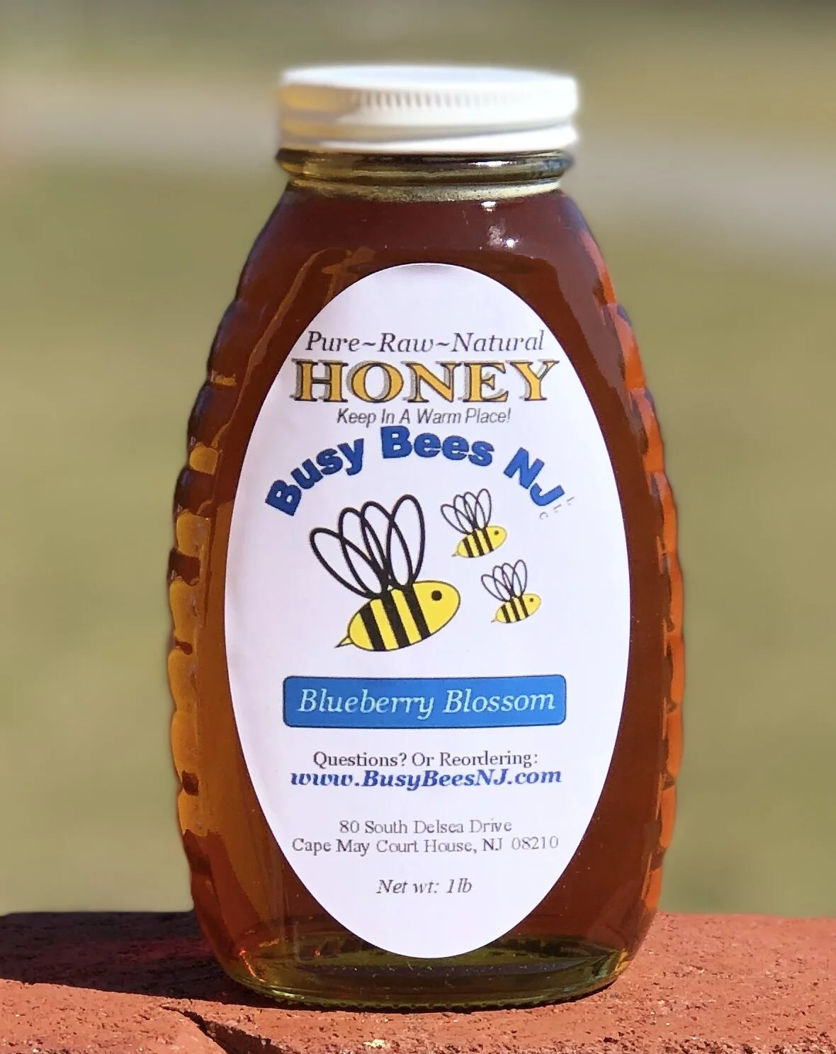 1 Pound Pure Raw Blueberry Blossom Honey Busy Bees Nj Llc