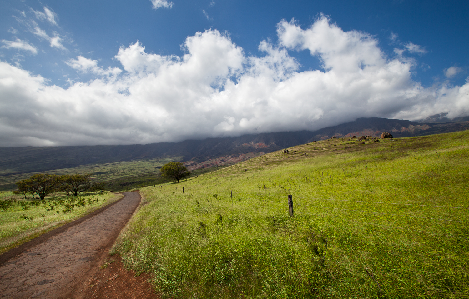 country-image-pueo-creations-professional-photogrpahy-maui.jpg