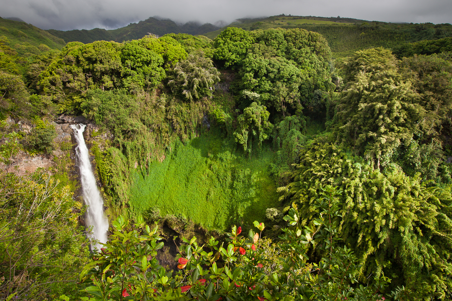 Hana-waterfall-image-pueo-creations-professional-photogrpahy-maui.jpg