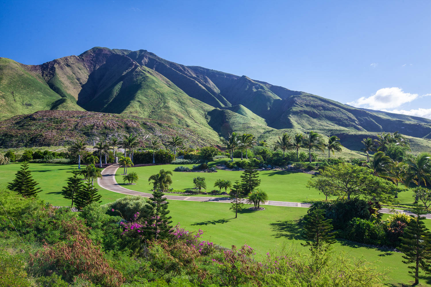 arial-view-chris-curtis-landscaping-west-maui.jpg