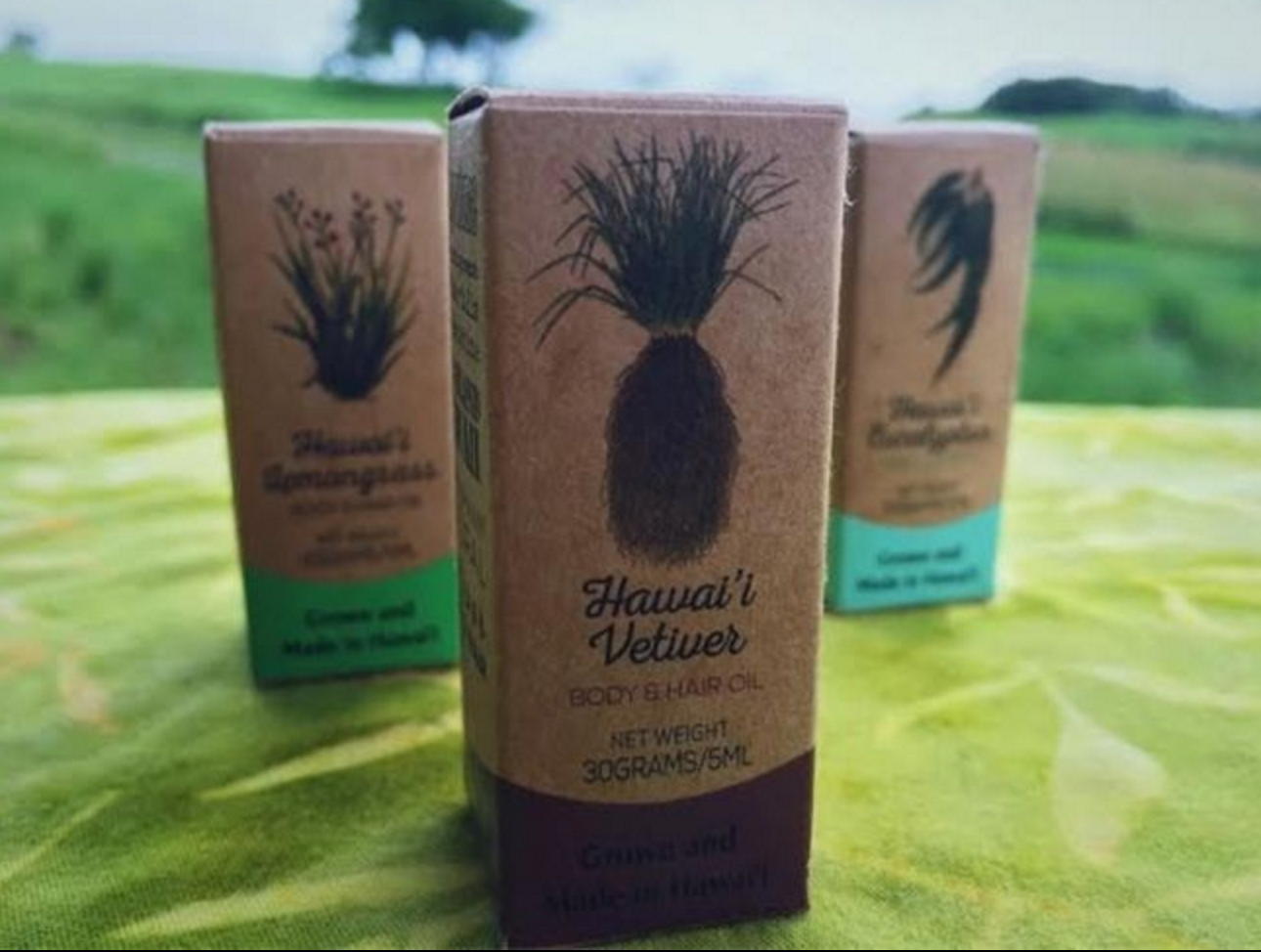 Vetiver Therapeutic Grade Oil By Vetiver Farms Hawaii | "Our blue/green Vetiver oil has earned a reputation as the cleanest smelling vetiver oil in the world. A Grounding and empowering essence known to dispel fear,anxiety and act as an aphrodisiac." -VFH