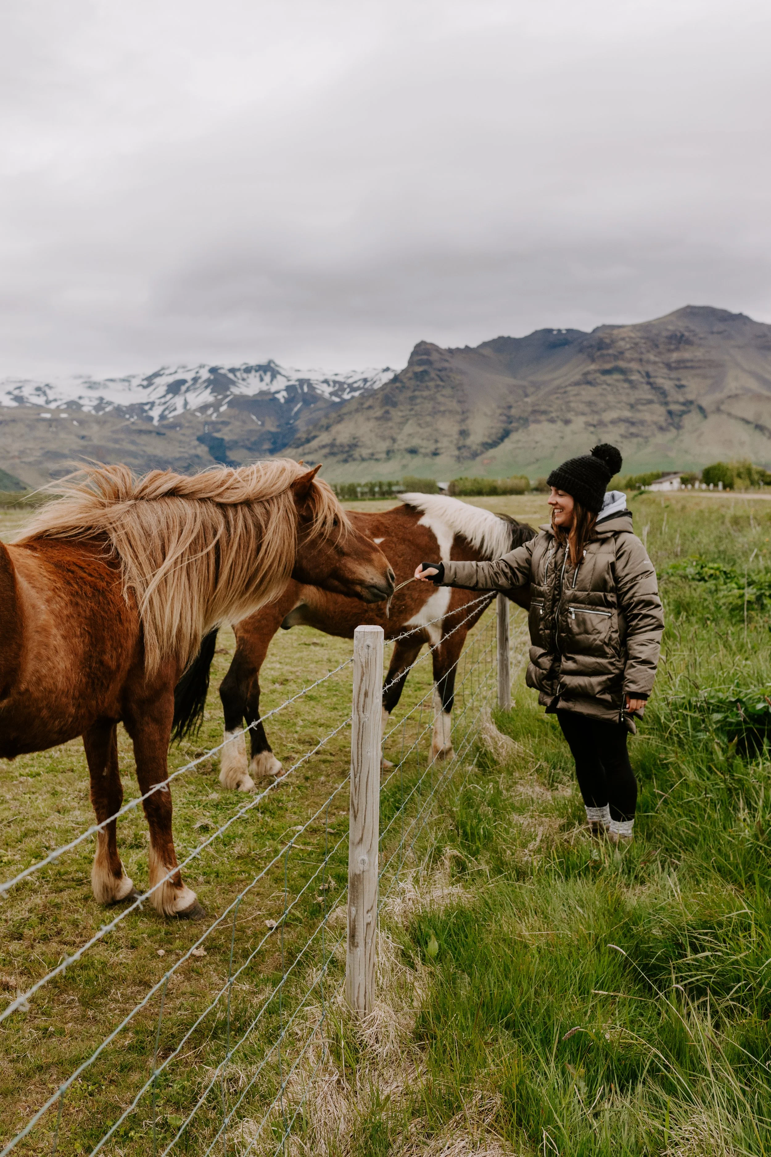 WT_IC_ Icelandic Horses _Lauren Louise-13.jpg