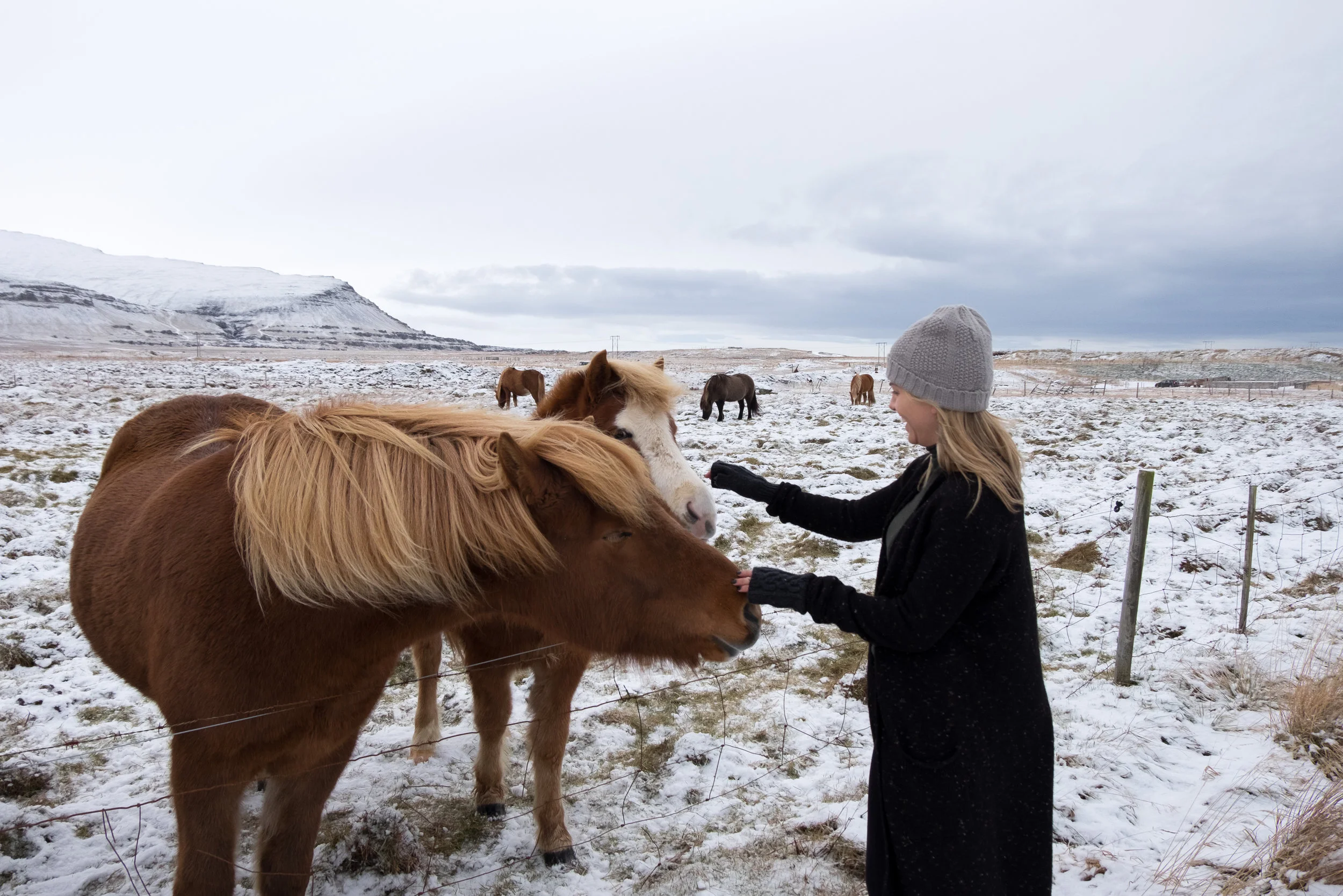 west-iceland-4405.jpg