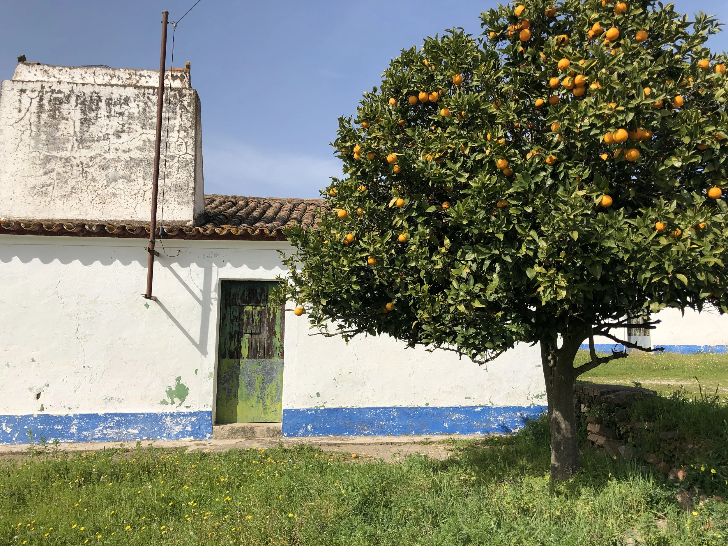 WildTerrains_Portugal_3.jpg
