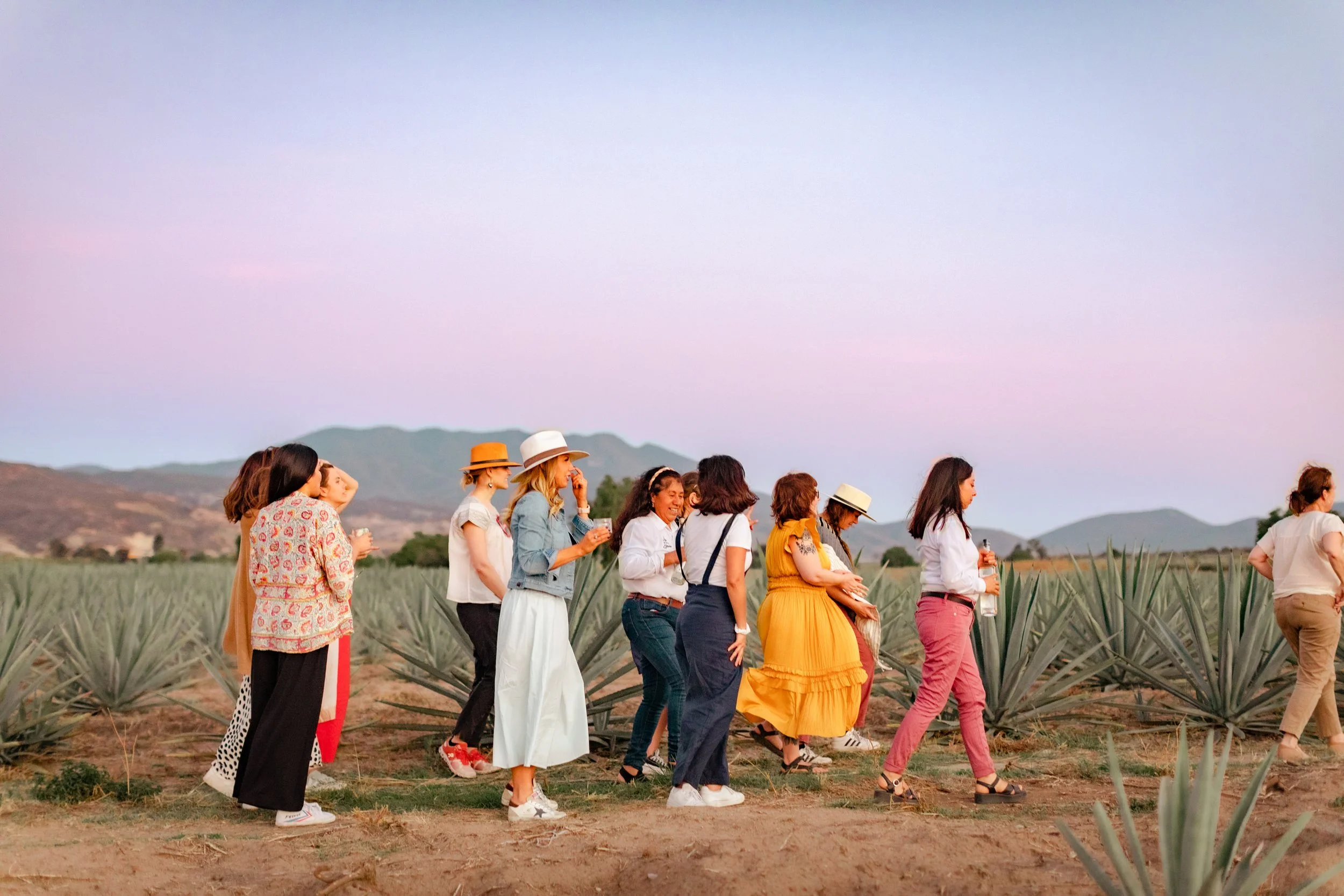 Oaxaca: November 6 - 10, 2026