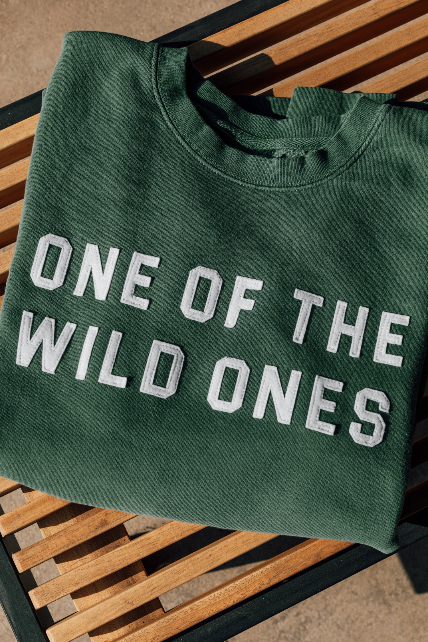 WT-Shop-Sweatshirt-Alpine-1.jpg