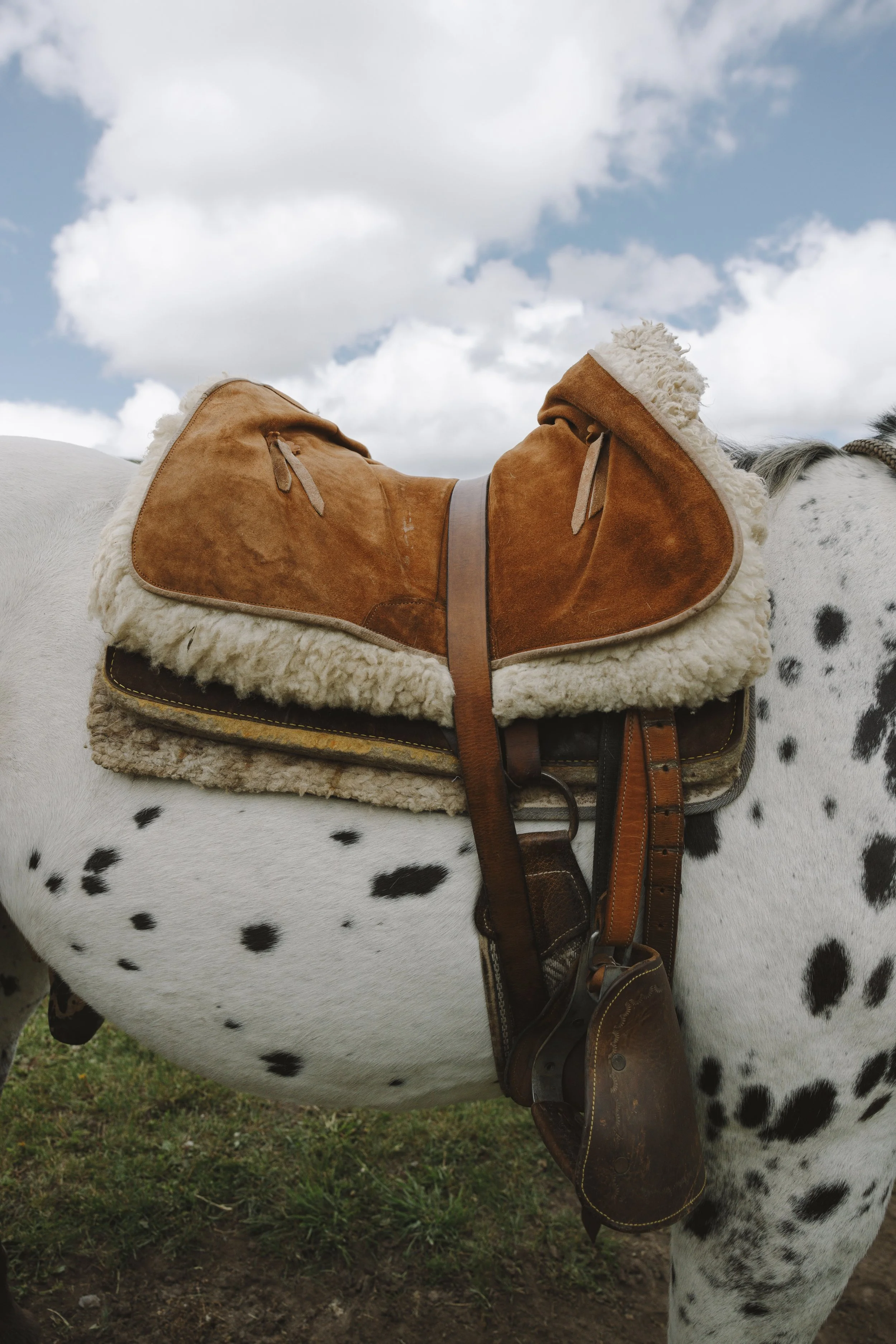 New Mexico: September 15 - 19, 2027