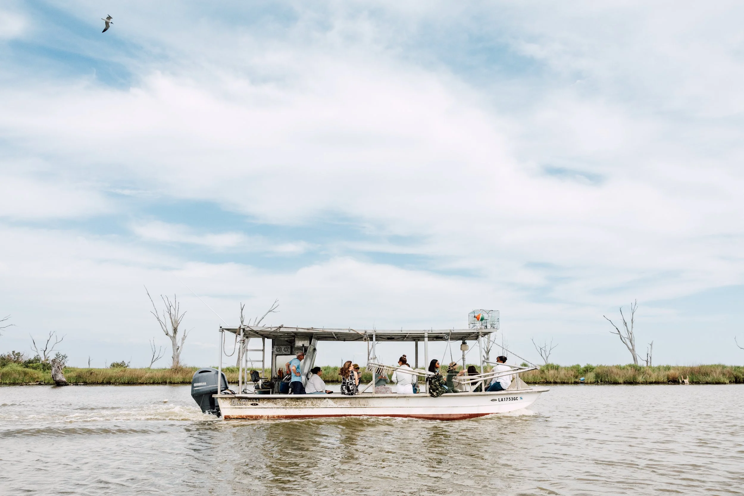 HERO WT-NOLA040424-236.jpg