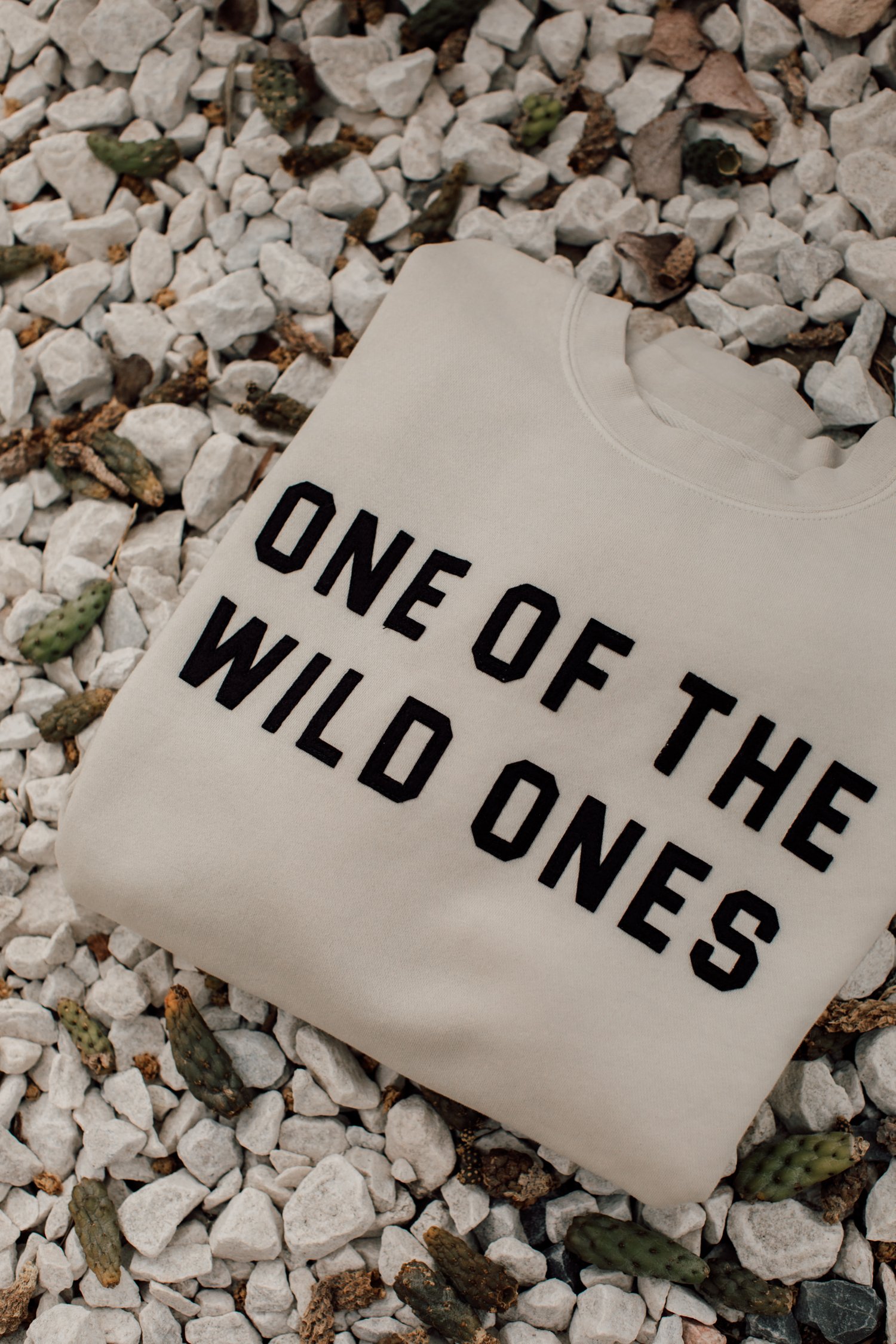 WT-Shop-Sweatshirt-Cream-16.jpg