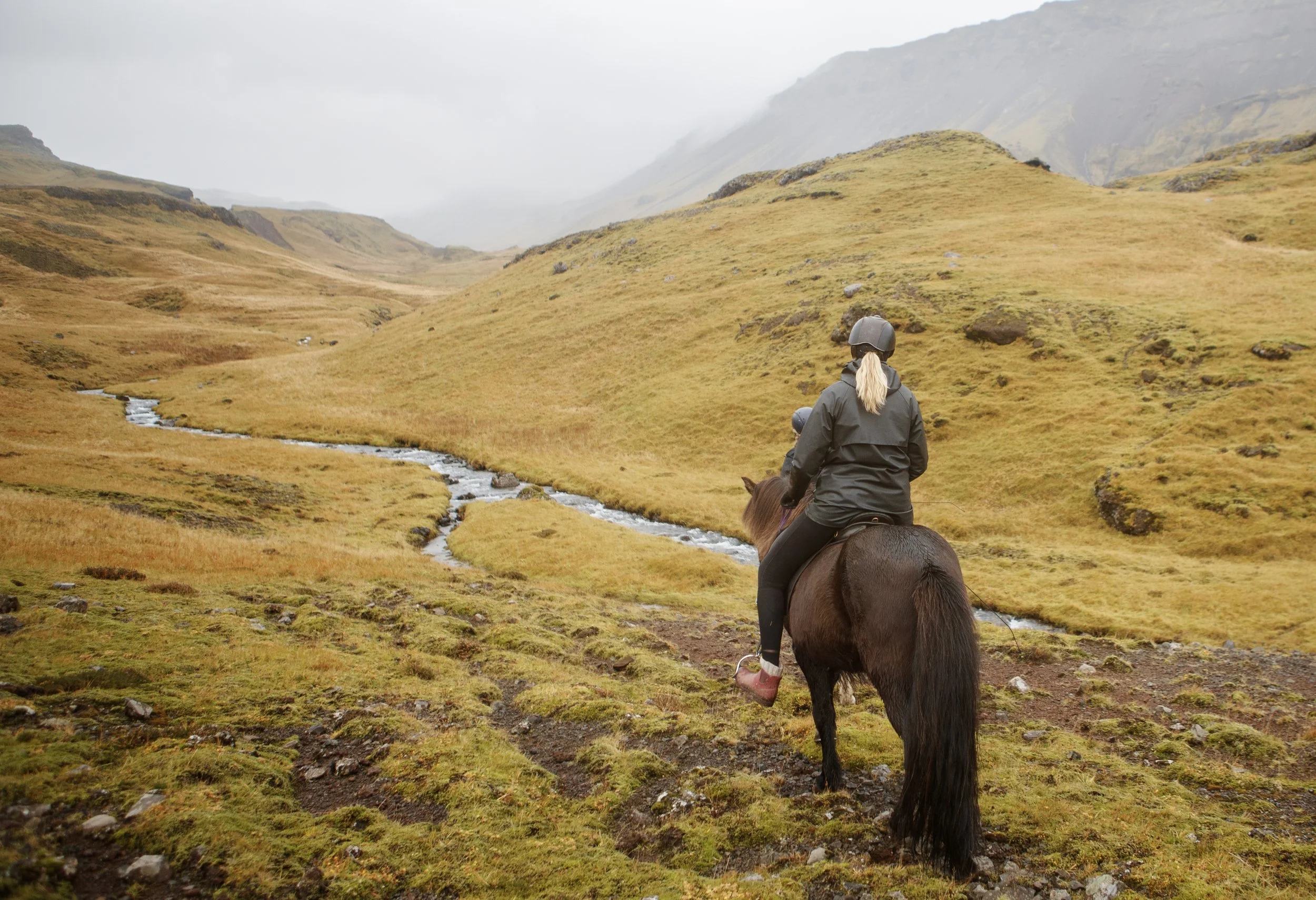 ICE_0946_4908 copy.jpg