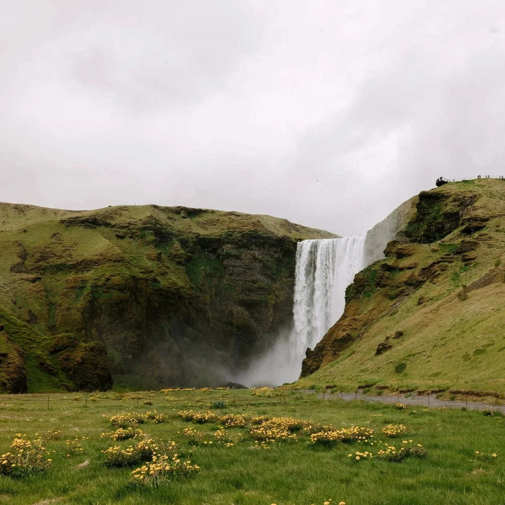 iceland-1072.jpg