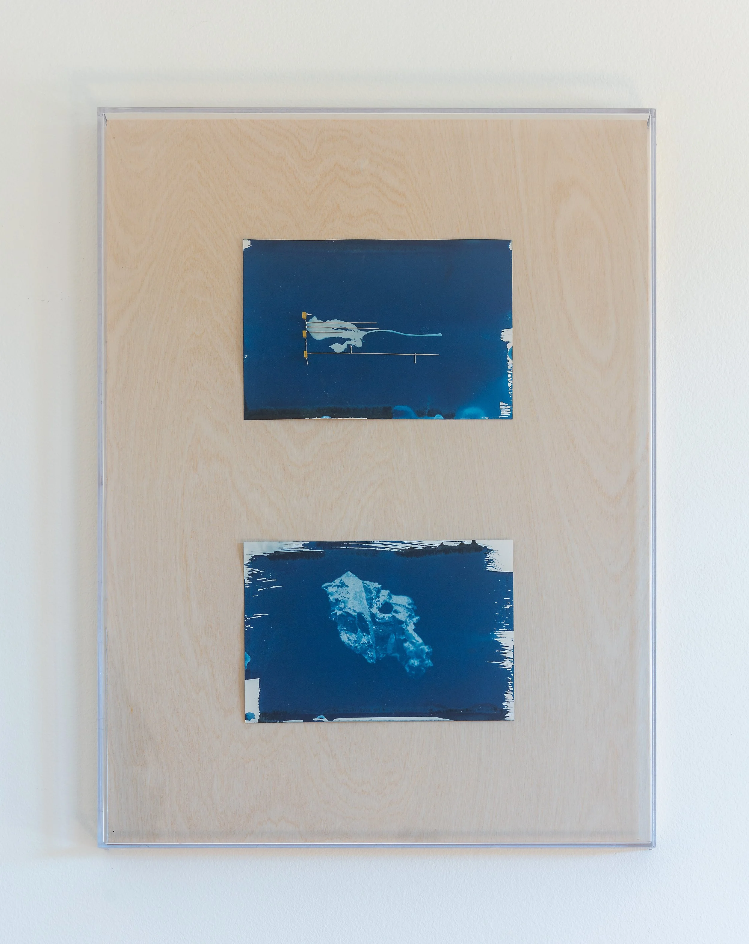 Cyanotype-Circuit.jpg