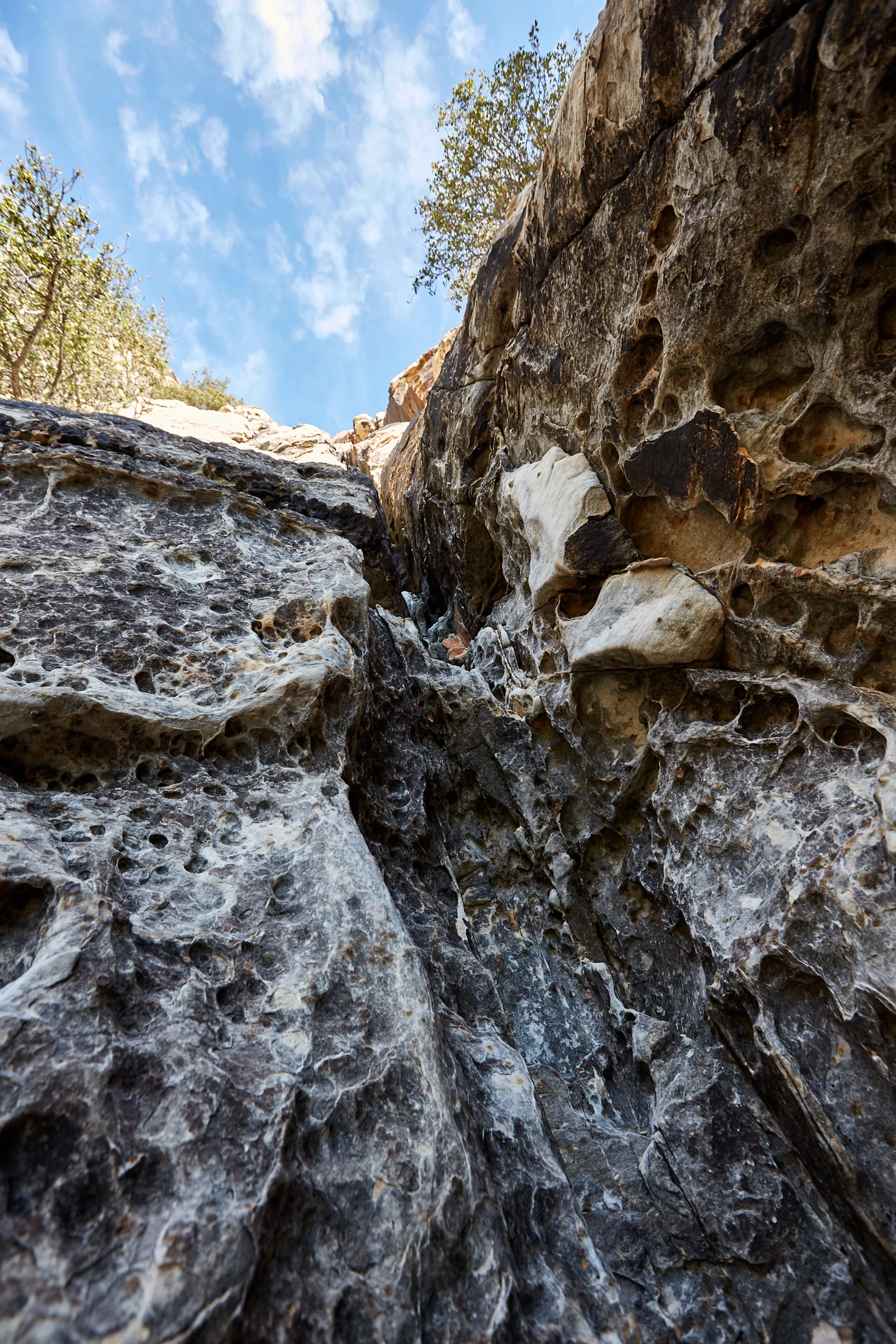20180406_RedRock_014.jpg