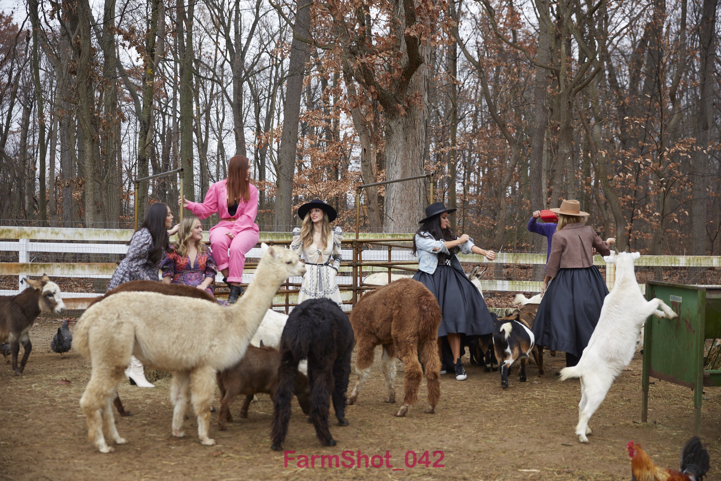 WebGallery_015.jpg