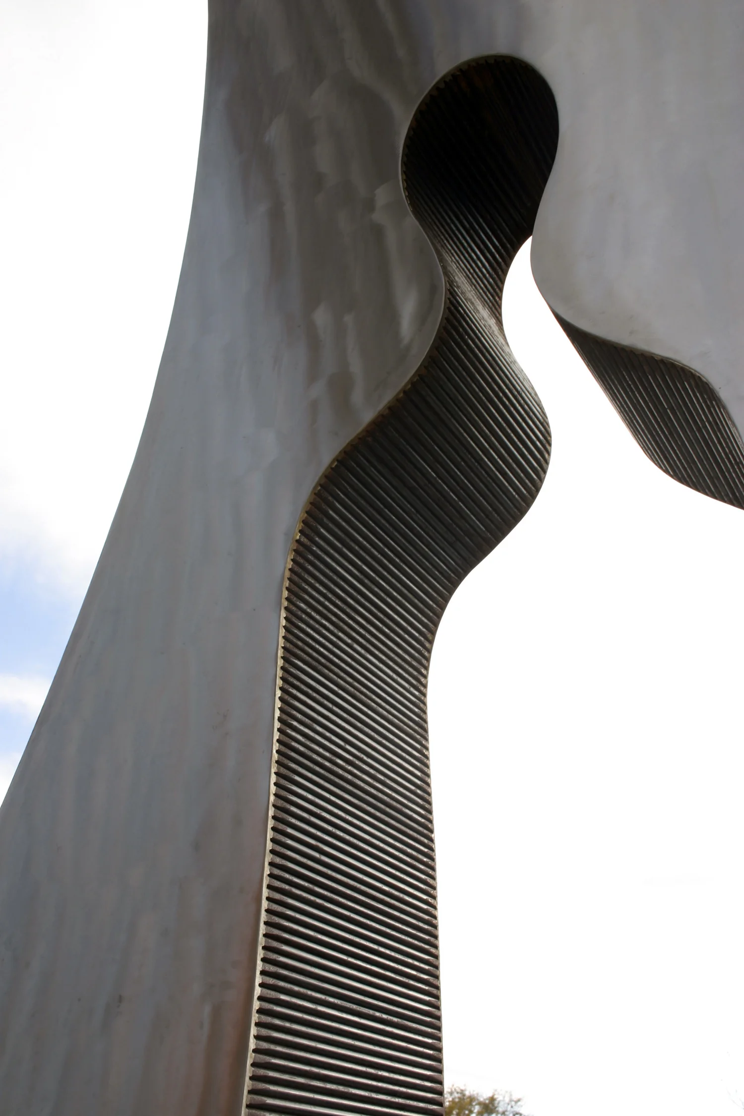 the-light-detail1.jpg