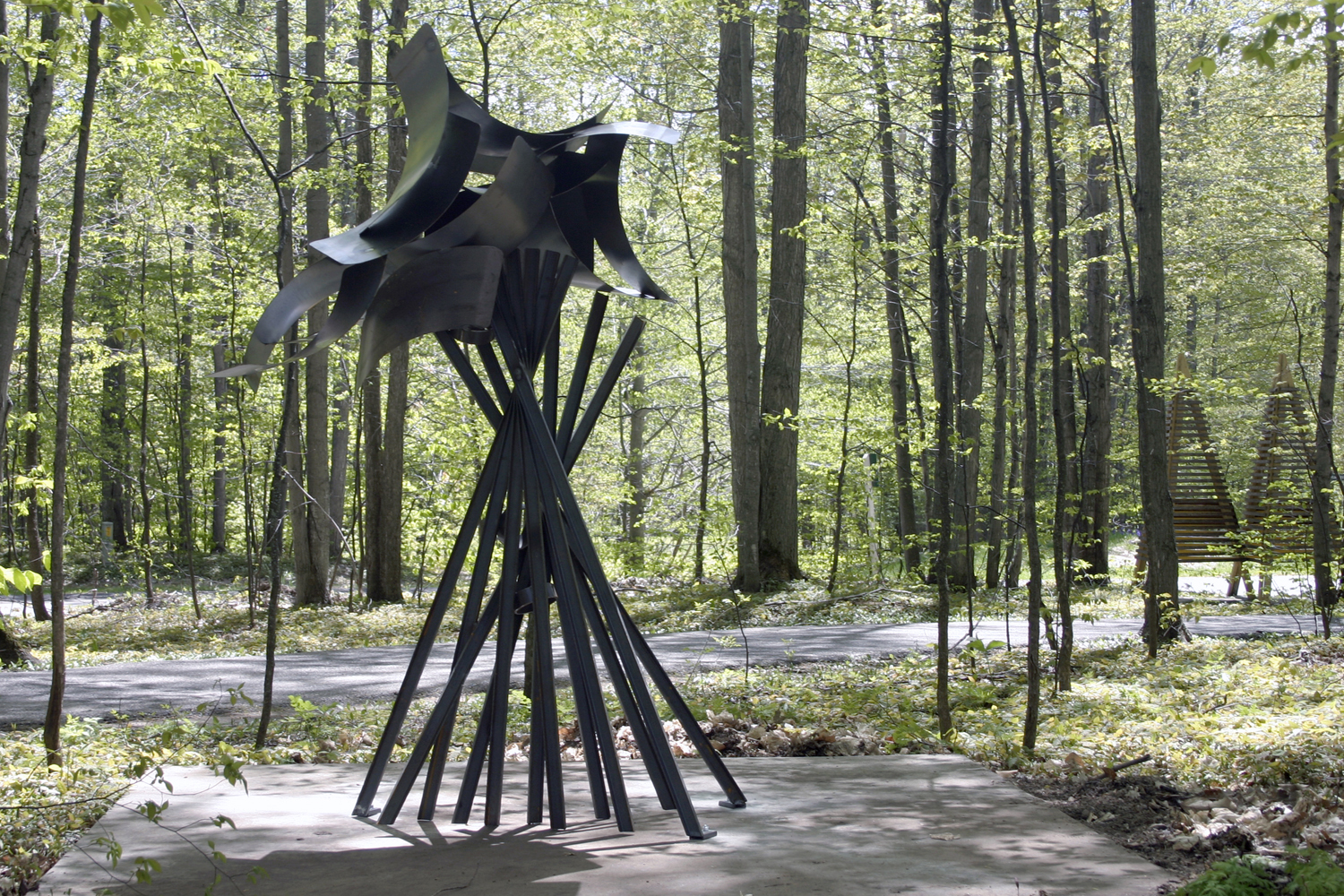 time-collector-michforest_5.jpg