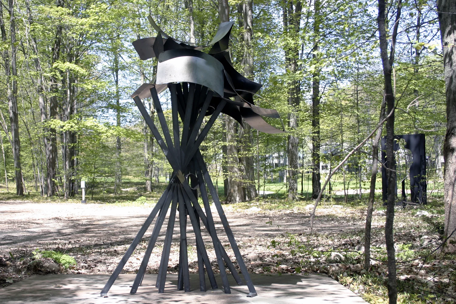 time-collector-michforest_6.jpg